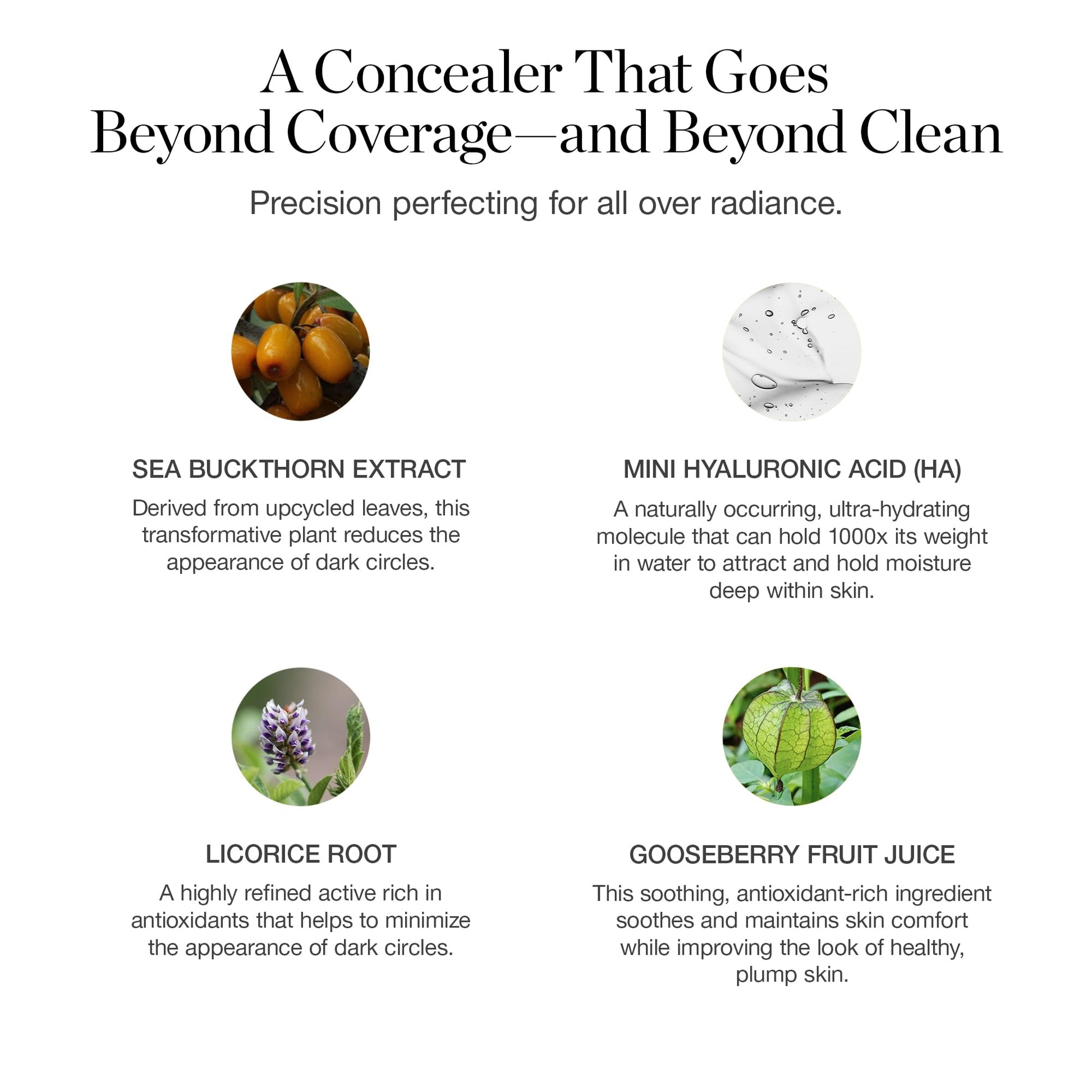 Ogee Complexion Perfecting Under Eye Concealer - Certified Organic Full Coverage Concealer - Buildable Coverage - OSIER 1.75W - Light Medium (Olive Undertones) Ogee buy supplements canada