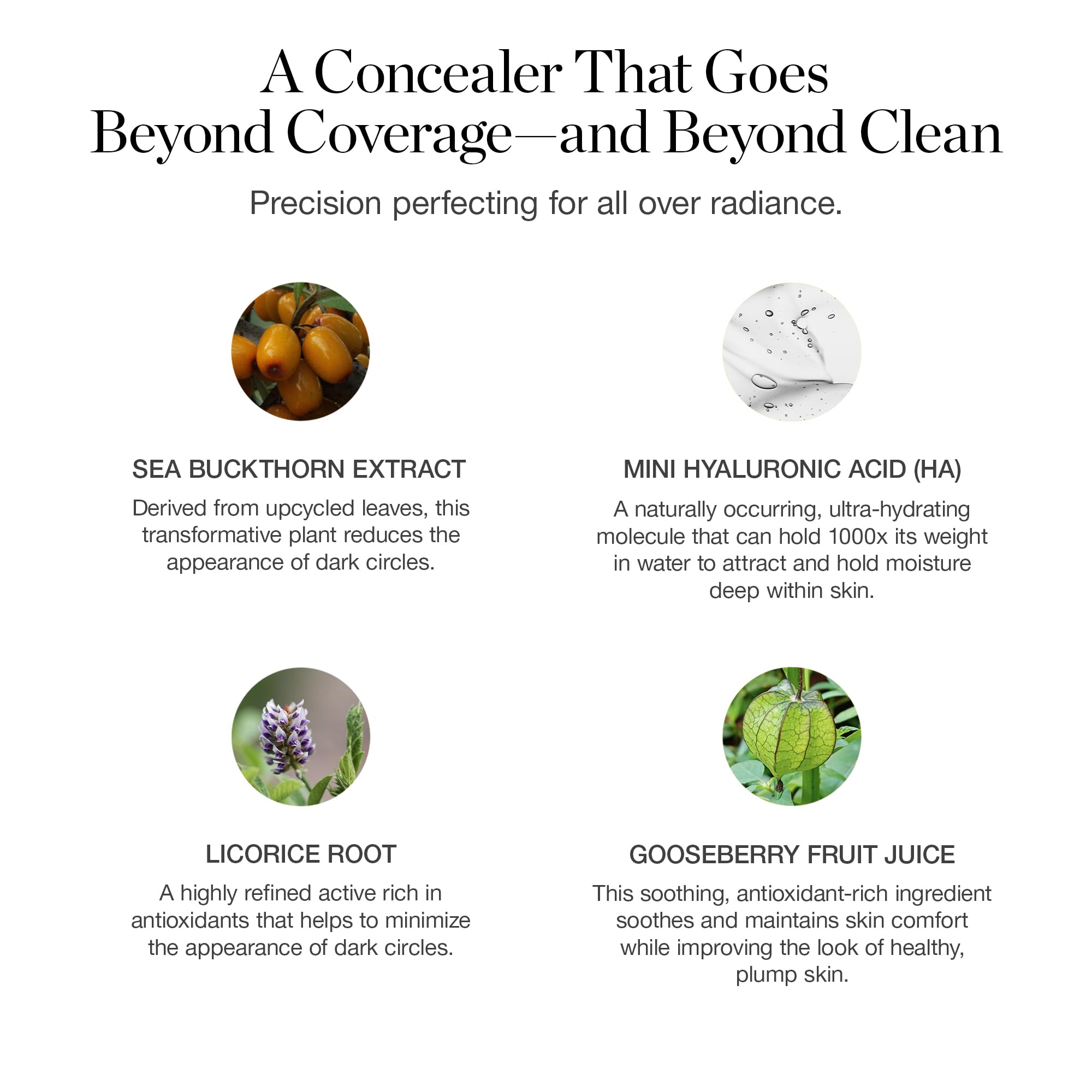 Ogee Complexion Perfecting Under Eye Concealer - Certified Organic Full Coverage Concealer - Buildable Coverage - OSIER 1.75W - Light Medium (Olive Undertones) Ogee buy supplements canada