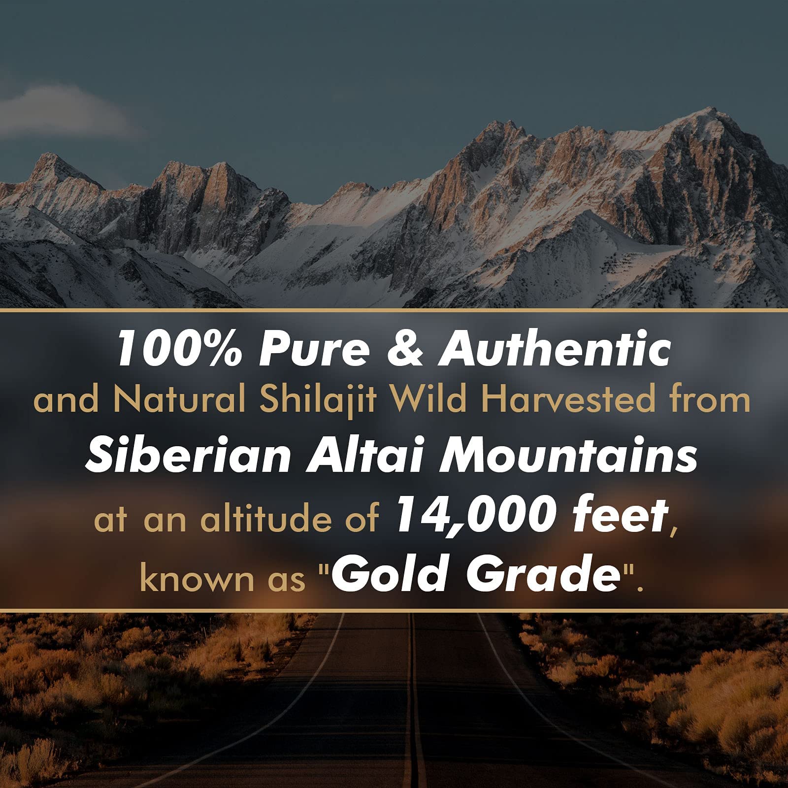 Shilajit Resin with Fulvic Acid & Trace Minerals, Original Siberian Pure Shilajit with 85+ Humic ALTAY MUMMIYO buy supplements canada