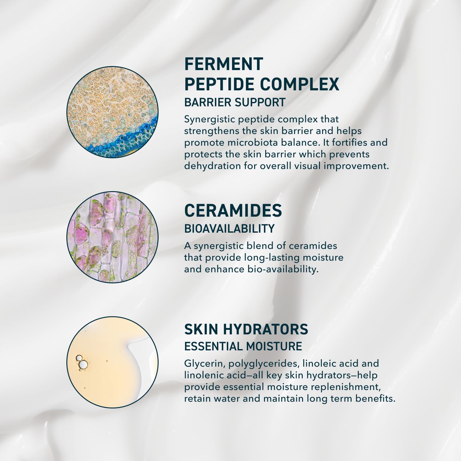 Prequel Skin AM/PM Modern Moisturizer – Hydrating Face Cream with Peptides, Ceramides Prequel buy supplements canada