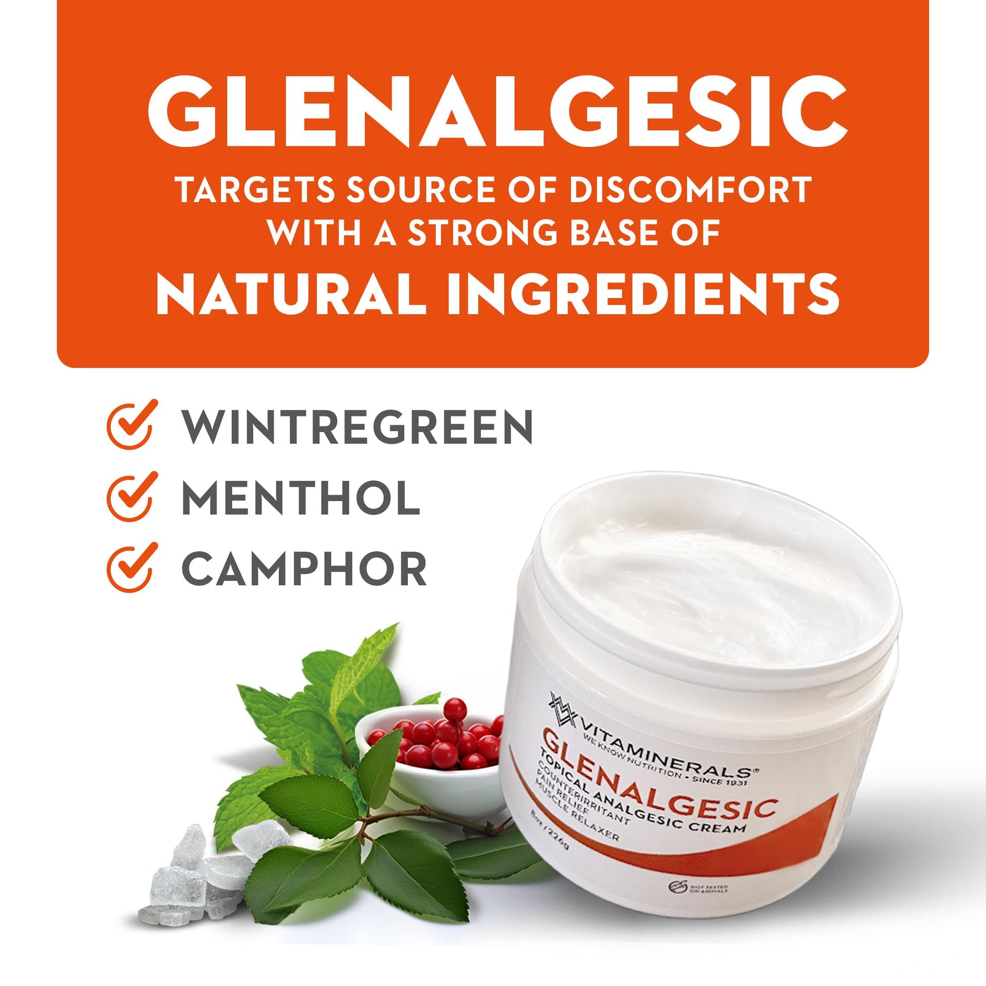 Vitaminerals 171 Glenalgesic® Pain Support Analgesic Balm, Muscle & Joint | Maximum Strength | Menthol | Camphor (8 oz) Vitaminerals buy supplements canada