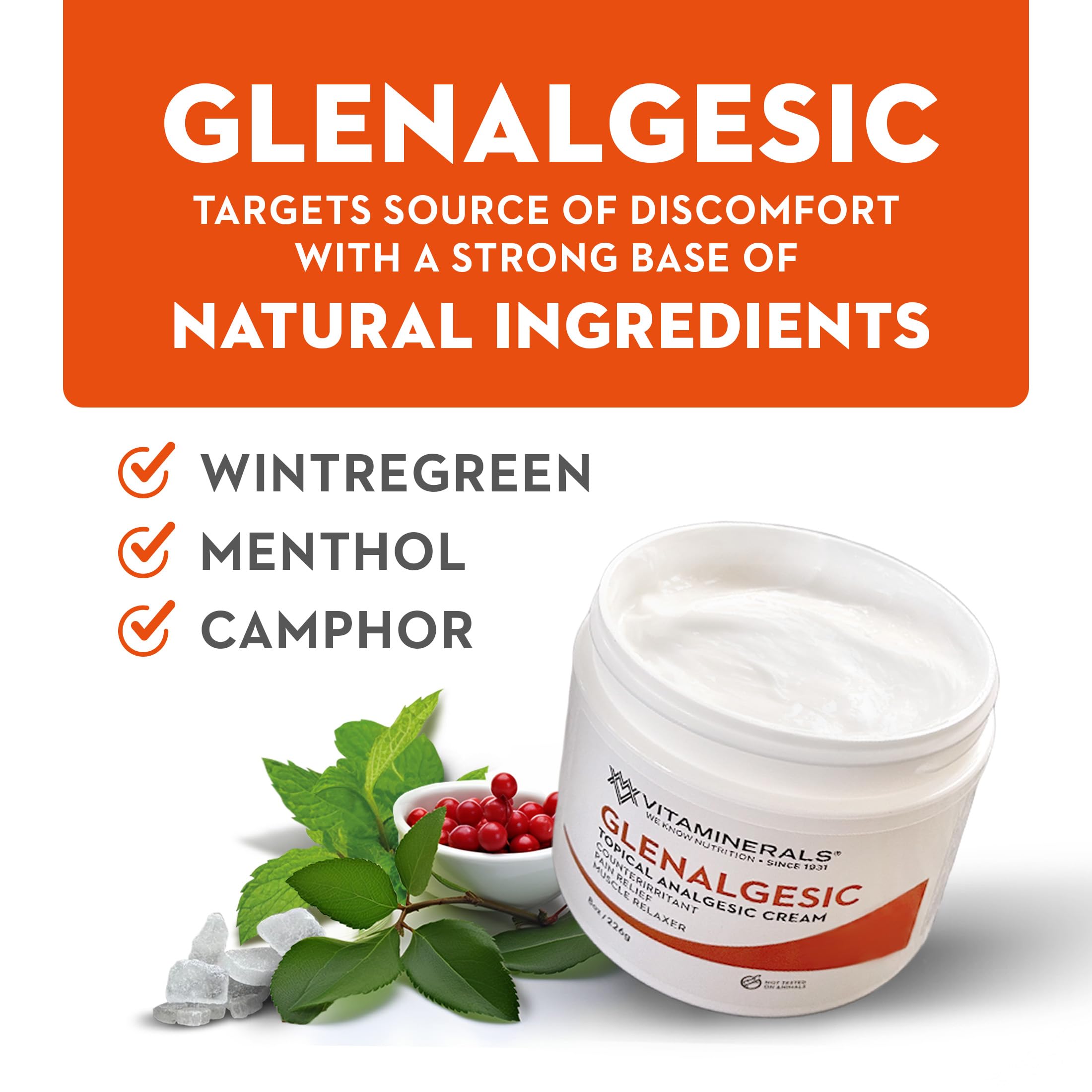 Vitaminerals 171 Glenalgesic® Pain Support Analgesic Balm, Muscle & Joint | Maximum Strength | Menthol | Camphor (8 oz) Vitaminerals buy supplements canada