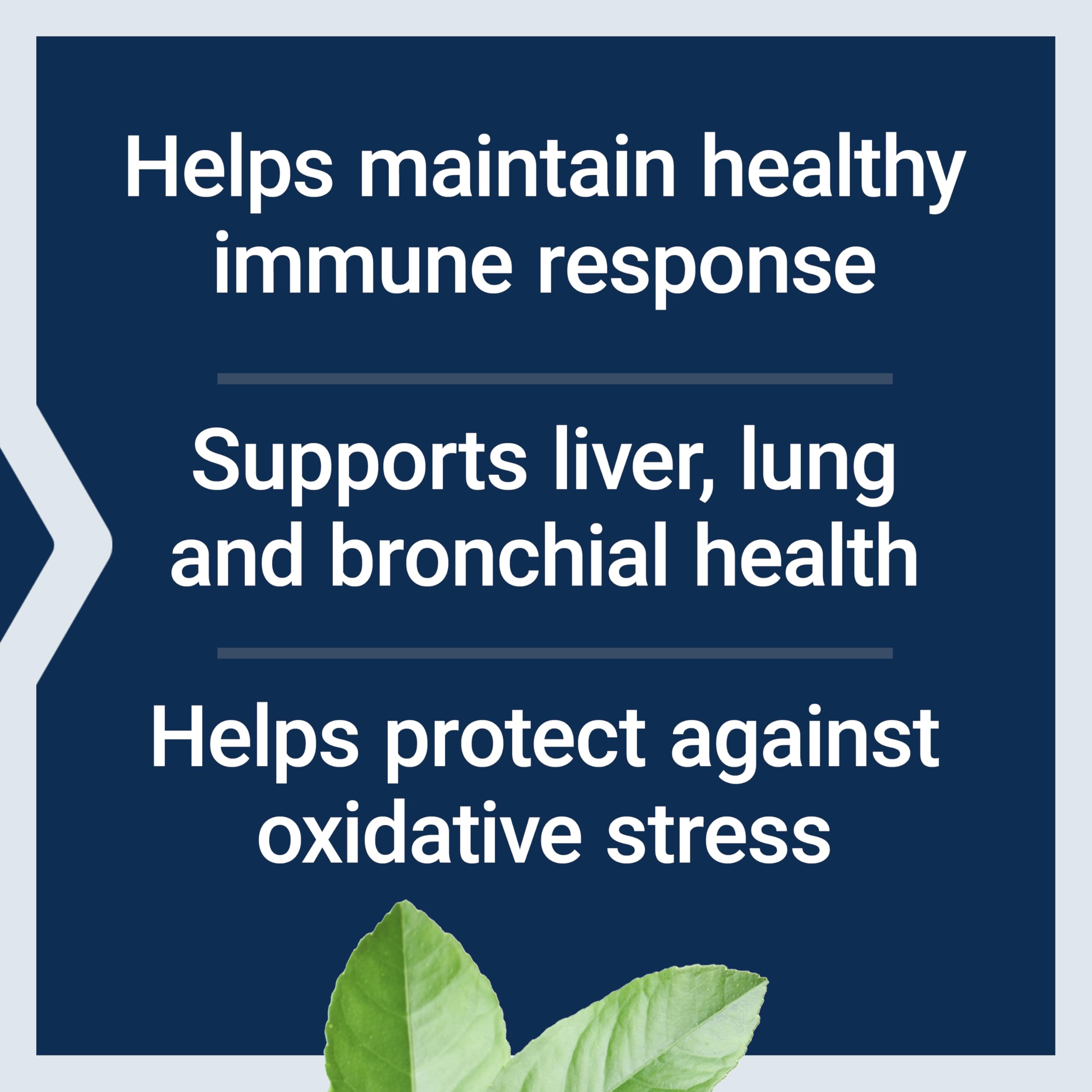 Life Extension N-Acetyl-L-Cysteine (NAC), Immune, Respiratory, Liver Health, NAC 600 mg, Potent antioxidant Support Life Extension buy supplements canada