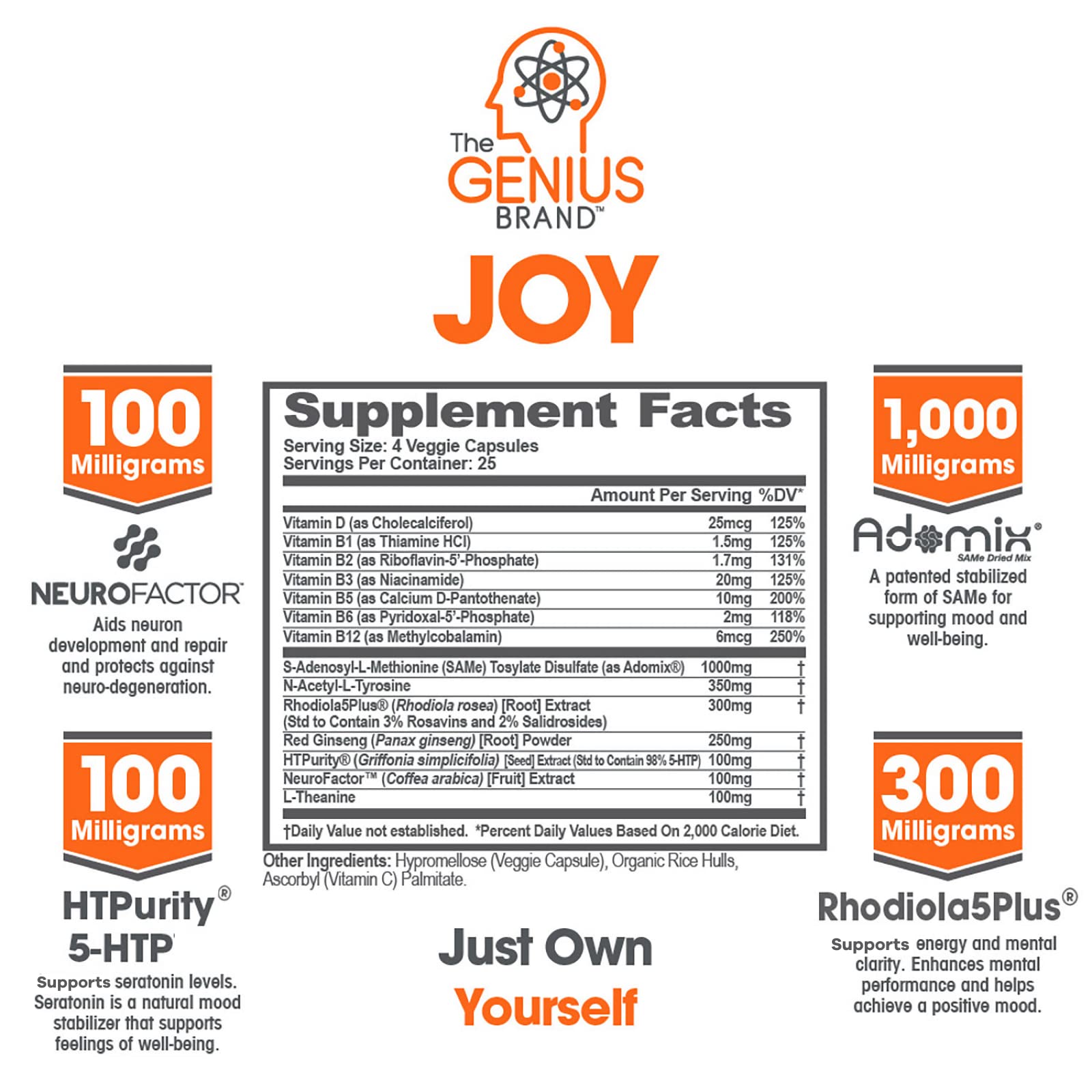 Genius Joy, Nootropic Mood Enhancer Supplement - Support Cognitive Health The Genius Brand buy supplements canada