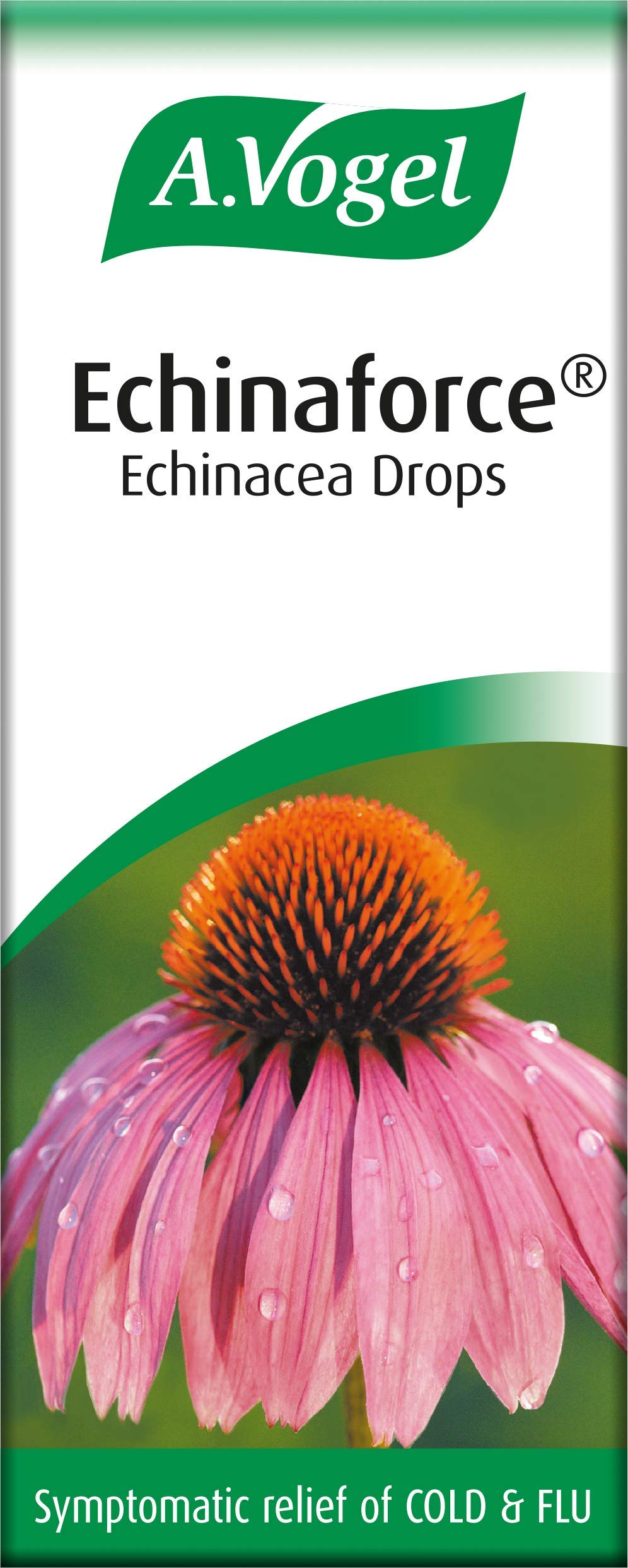 A.Vogel Echinaforce Echinacea Drops | Relieves Cold & Flu Symptoms by Strengthening A.Vogel buy supplements canada