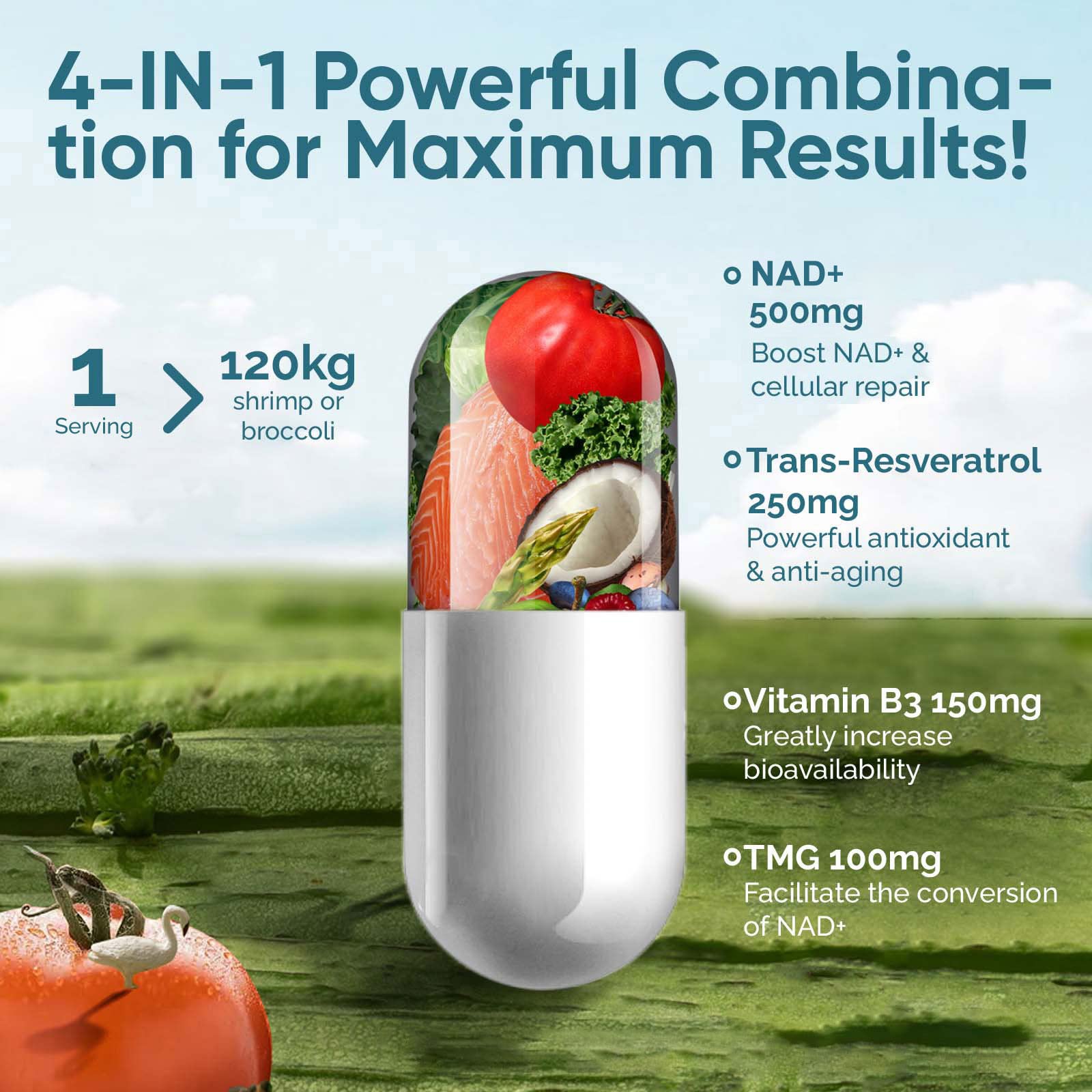 UltraViat NAD+ Supplement 1000mg, Premium NAD+ & Resveratrol Complex for Energy & Anti Aging - 120 Capsules UltraViat buy supplements canada