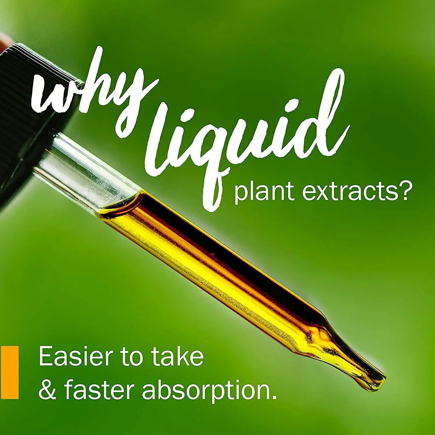 Herb Pharm Uva Ursi Liquid ExtraCount for Urinary System Support, 1 Fl Oz Herb Pharm buy supplements canada