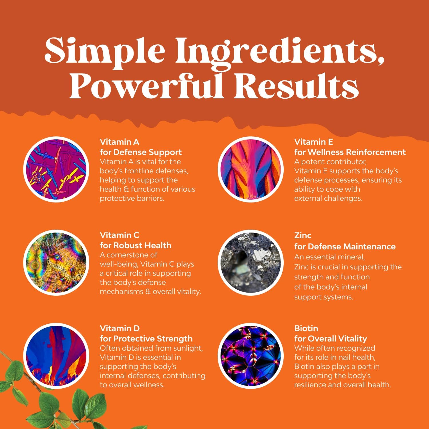 Potent Daily Multivitamin Gummies for Adults - Wellness Blend of Vitamin D A C E B12 Zinc and Biotin - Adult Vitamin Gummy for Energy and Immune Health Natures Craft buy supplements canada