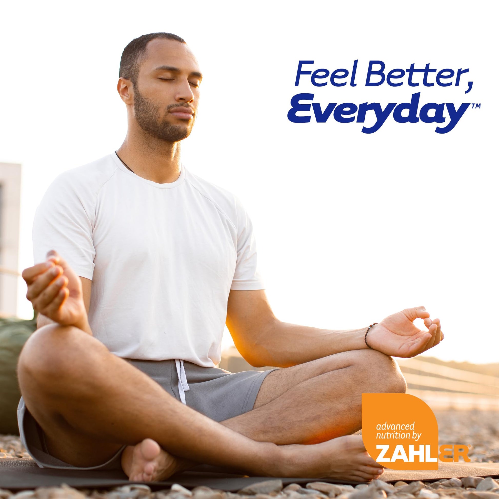 Zahler StressMaster, Relaxation Support Supplement, Promotes Natural Calm, Certified Kosher 120 Capsules Zahler buy supplements canada