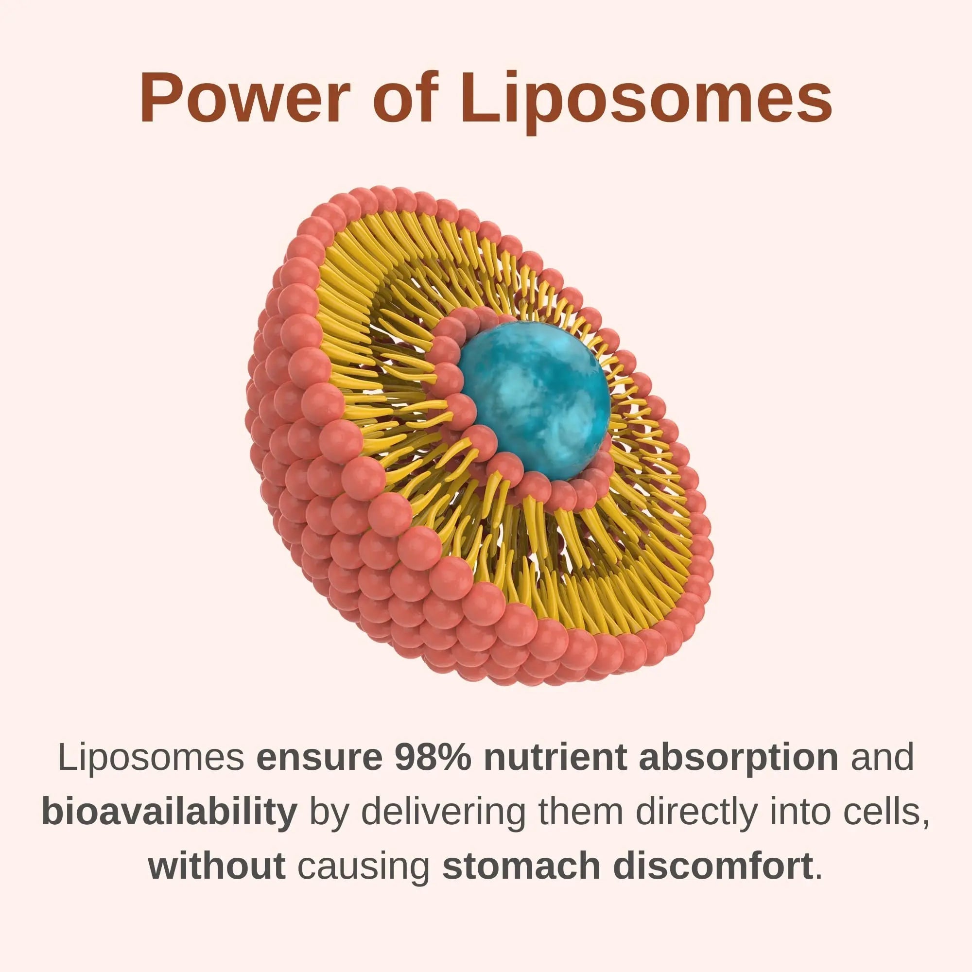 Vitaminally Liposomal Men's 50+ Liquid Multivitamin Drops | Non-GMO | Sugar Free | Gluten Free | 30 Day Supply | 3 FL Oz | Vitaminally buy supplements canada