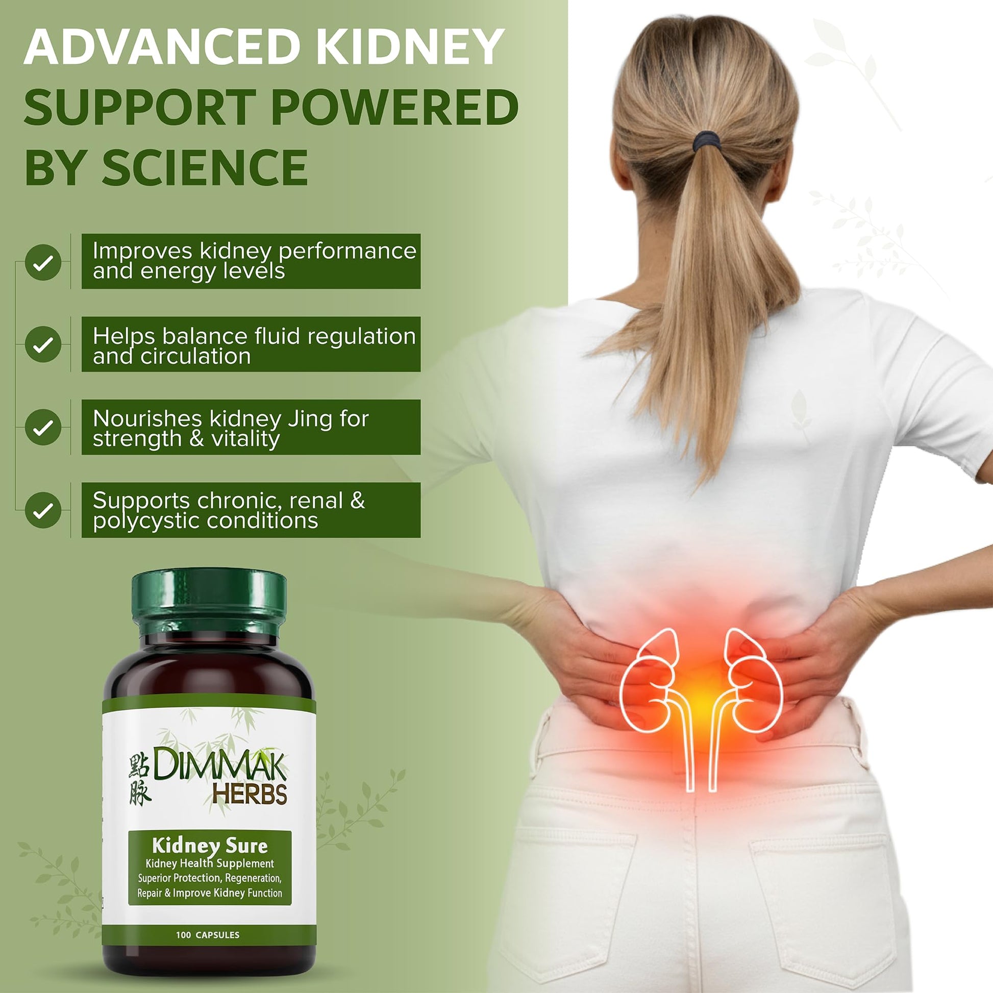 Dimmak Herbs Kidney Sure- Kidney Cleanse & Revitilization Tonic- Organic Herbal Support for Renal Health, Urinary Tract Flow & Vitality- TCM Doctor Formulated, Vegan- 400mg 100 Capsules Dimmak Herbs buy supplements canada
