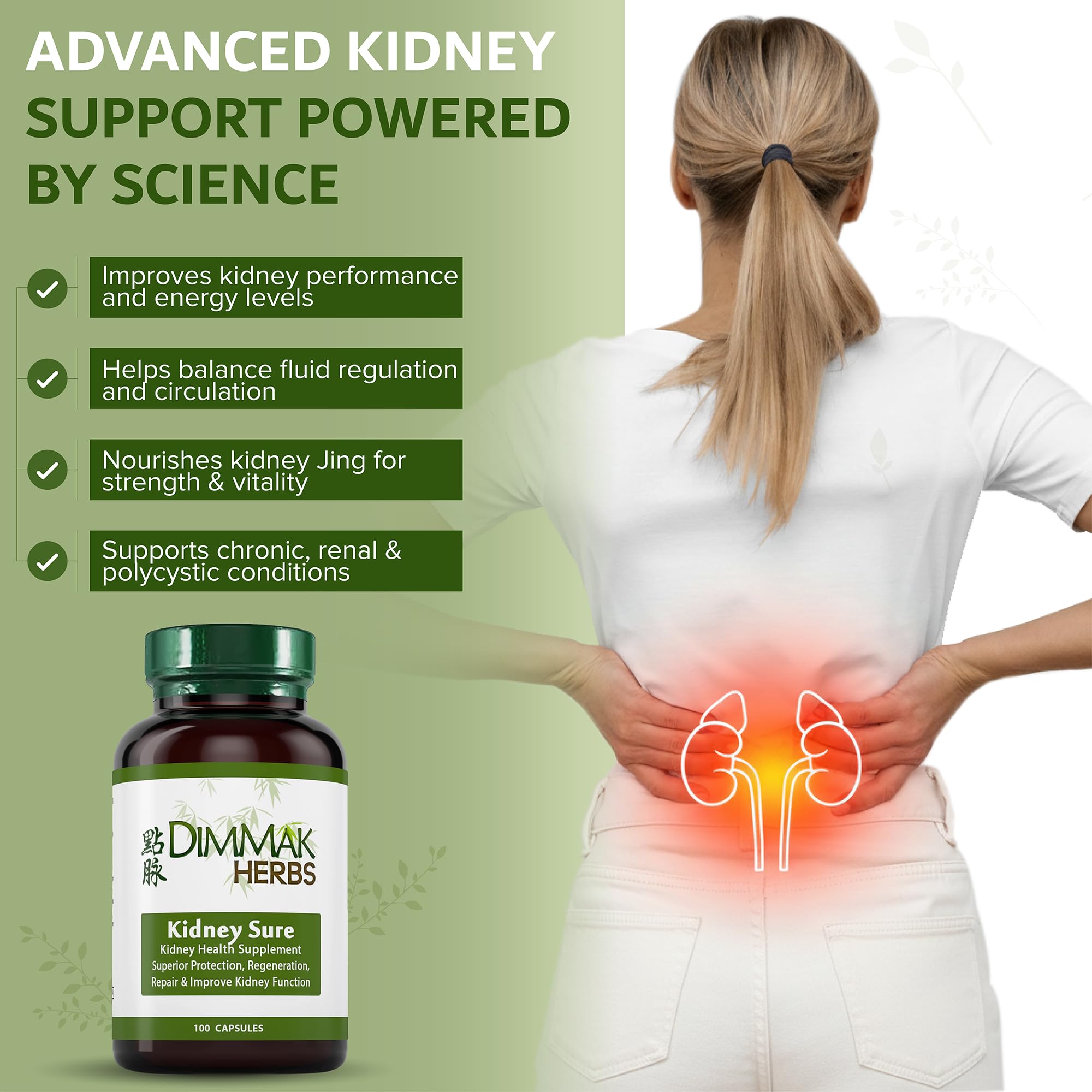 Dimmak Herbs Kidney Sure- Kidney Cleanse & Revitilization Tonic- Organic Herbal Support for Renal Health, Urinary Tract Flow & Vitality- TCM Doctor Formulated, Vegan- 400mg 100 Capsules Dimmak Herbs buy supplements canada