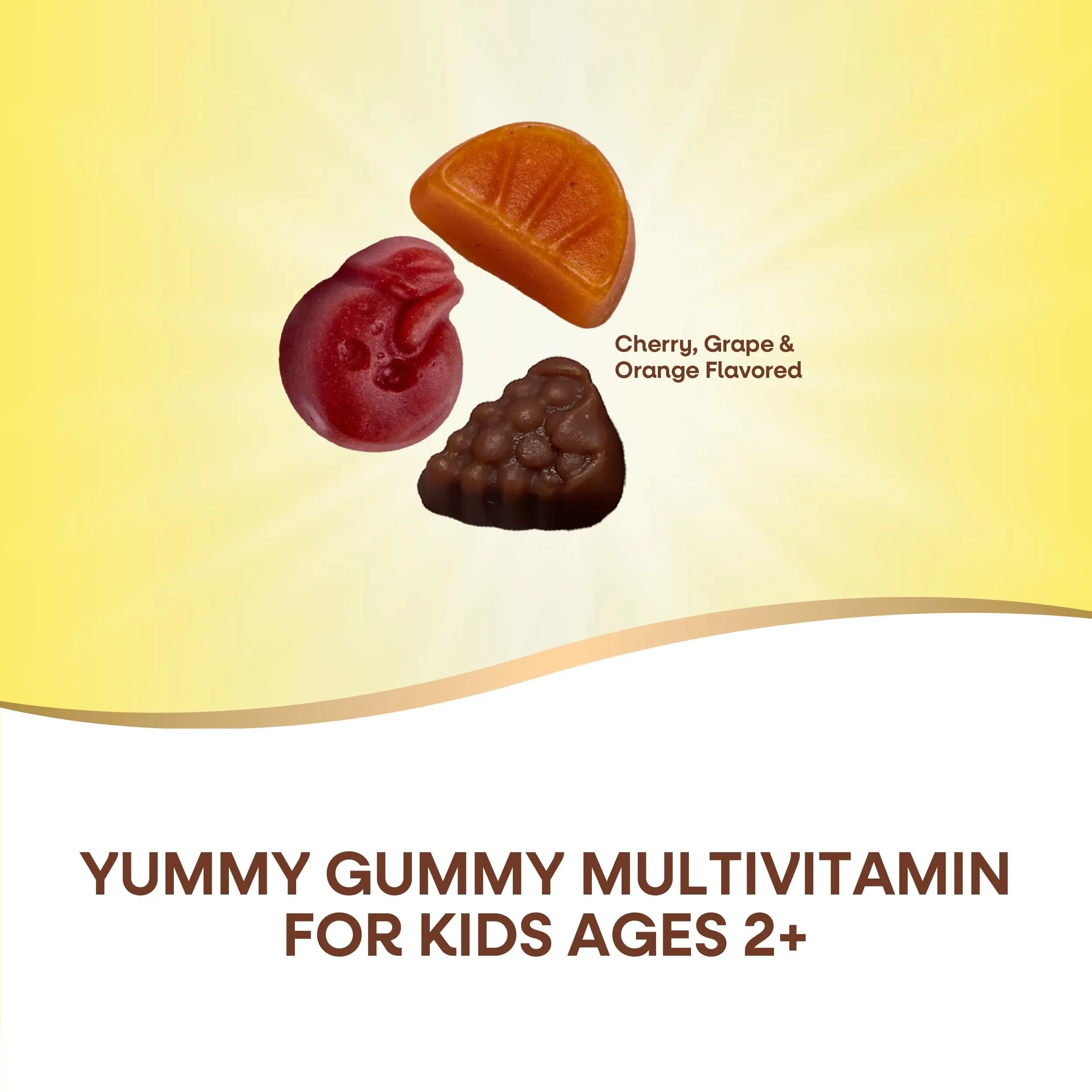 Nature's Way Alive! Children's Premium Gummy Multivitamin, Gluten Free, Made with Pectin, 90 Gummies Nature's Way buy supplements canada