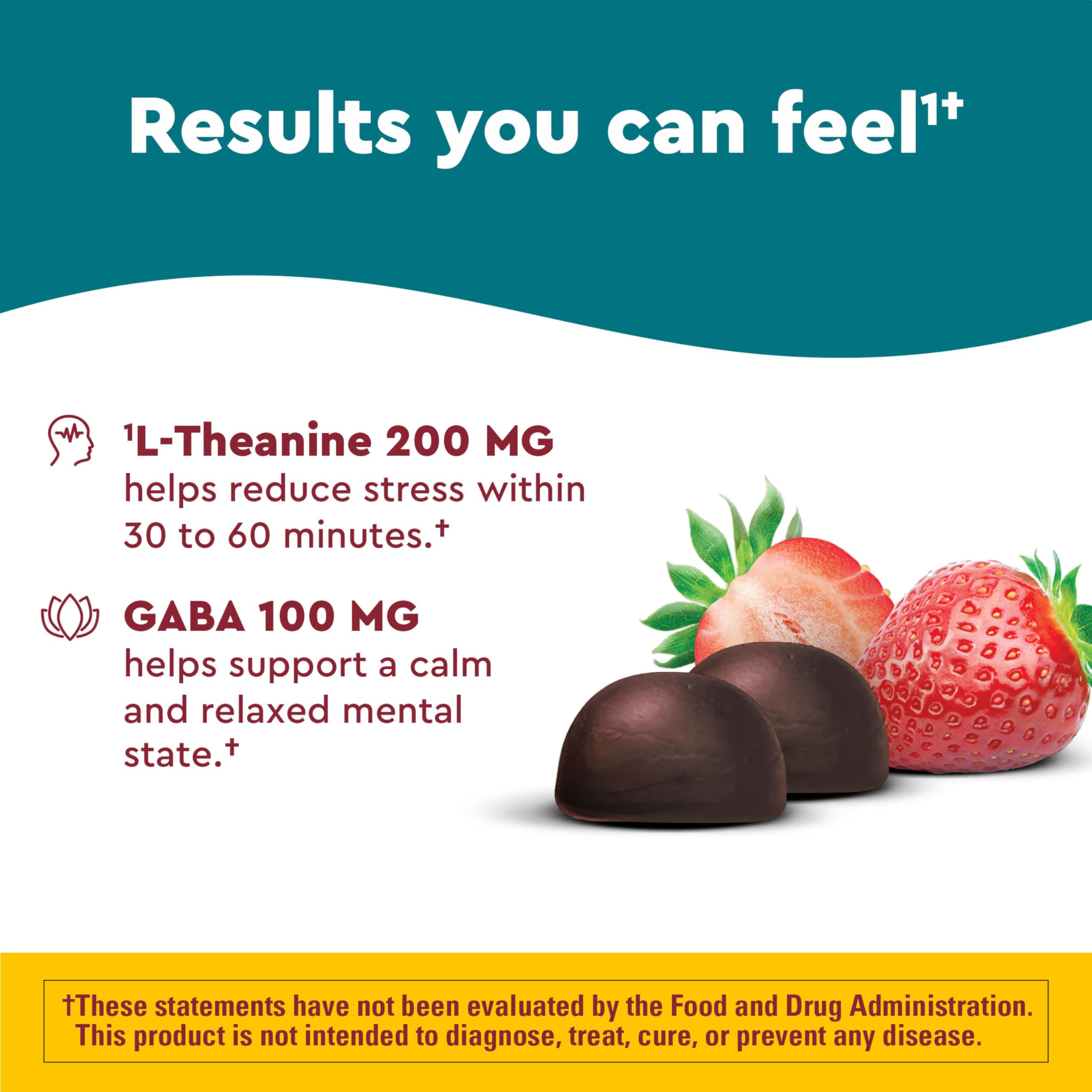 Nature Made Wellblends Stress Relief Gummies, L theanine 200mg to Help Reduce Stress, with GABA 100mg, Same Day Stress Support, 40 Strawberry Flavor Gummies Nature Made buy supplements canada
