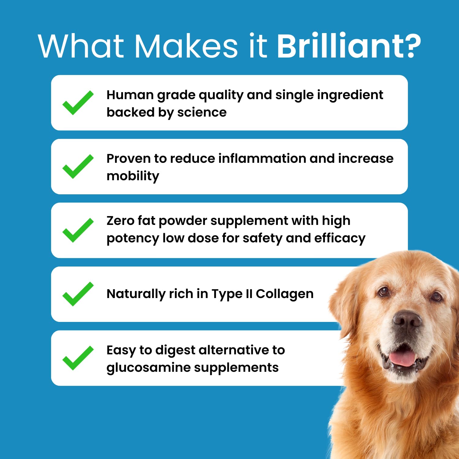 Hofseth BioCare Brilliant Bone & Joint Supplement for Dogs - High Strength Calcium & Collagen Powder for Joint & Hip Support, Essential Supplement for Dog’s of All Ages - 10.6 Oz Hofseth BioCare buy supplements canada