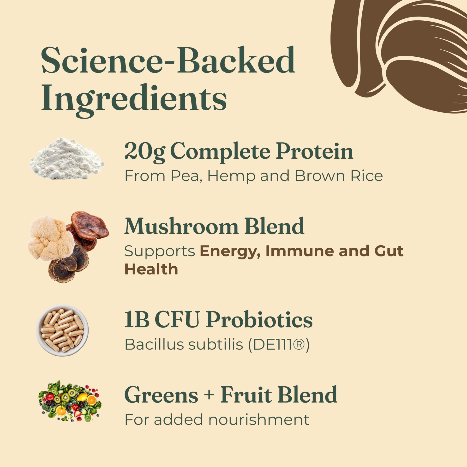 Four Sigmatic Organic Plant-Based Protein Powder | Clean Vegan Protein Elevated with Lion’s Mane, Chaga, Cordyceps and More for Brain Function and Immune Support | Creamy Cacao, 21.16 oz Four Sigmatic buy supplements canada