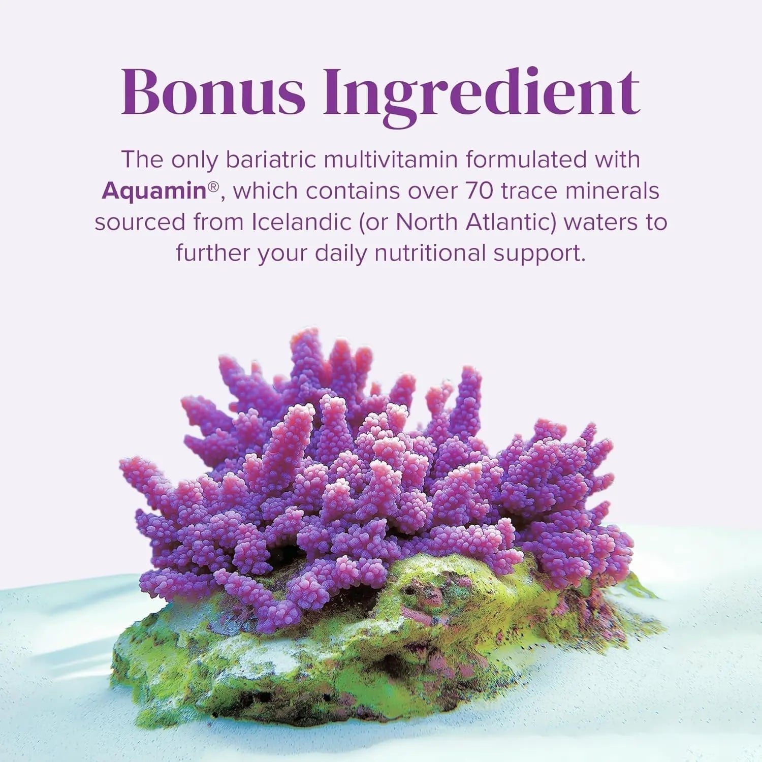 BariMelts Once Daily Bariatric Multivitamin with Iron, 60 Easy-Swallow Caplets (2-Month Supply), Multivitamin for Women, Multimineral Complex BariMelts buy supplements canada