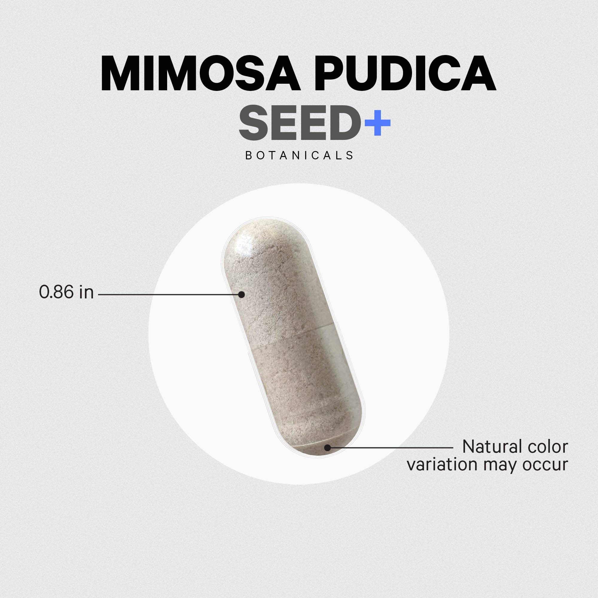 Codeage Organic Mimosa Pudica Seed Capsules - Mimosa Pudica Seeds Supplement - Black Walnut, Cloves, Vidanga, Neem, BioPerine - All in One - Sensitive Plant Pills - Non-GMO & Vegan - 120 Capsules Codeage buy supplements canada