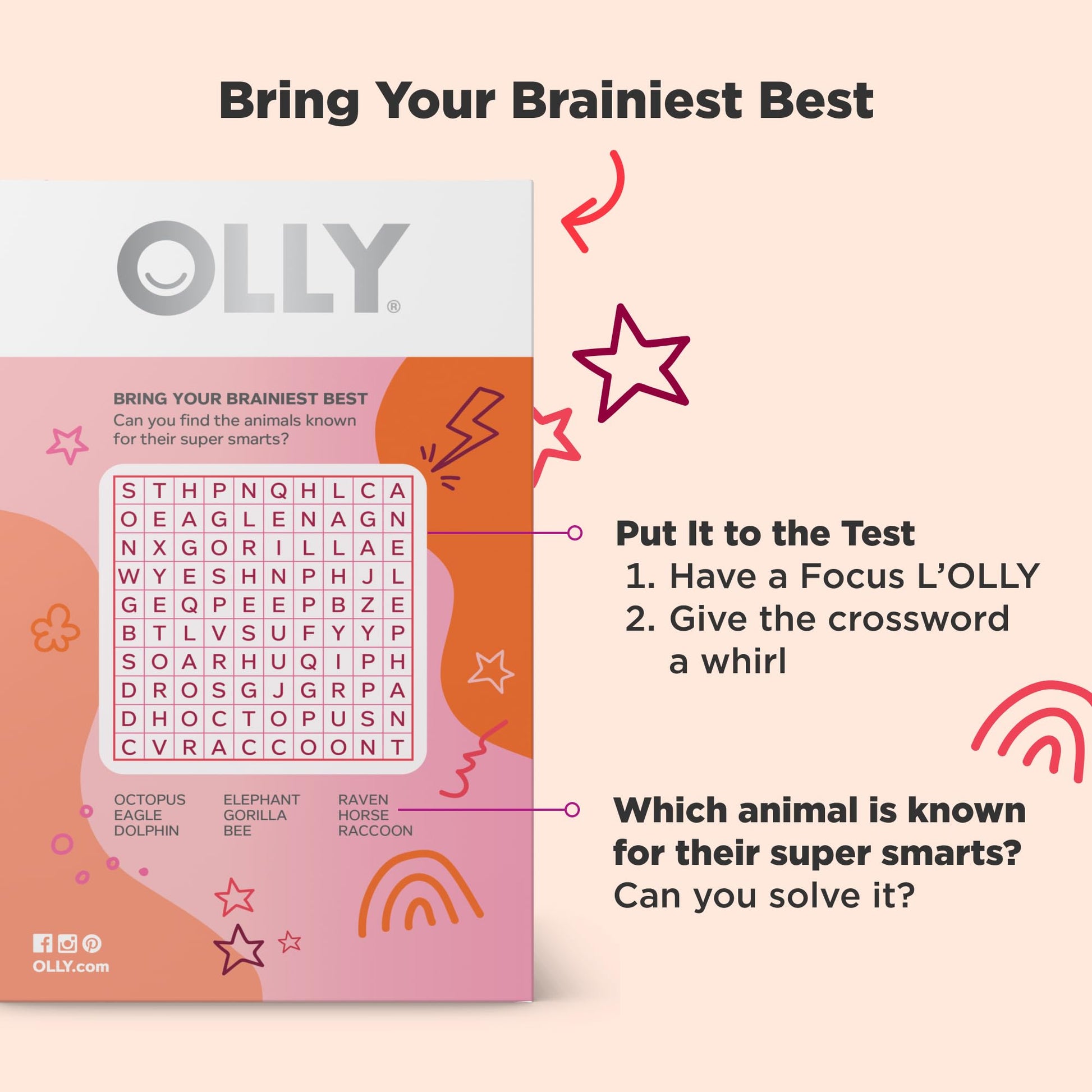 OLLY Focus Buddies L’OLLY Pops, Cognizin, Vitamins B6 and B12, Omega-3 ALA, Supports Focused Attention and Healthy Brain Function,* Kids 4+ Dietary Supplement, Watermelon Strawberry Flavored, 25 Count OLLY buy supplements canada
