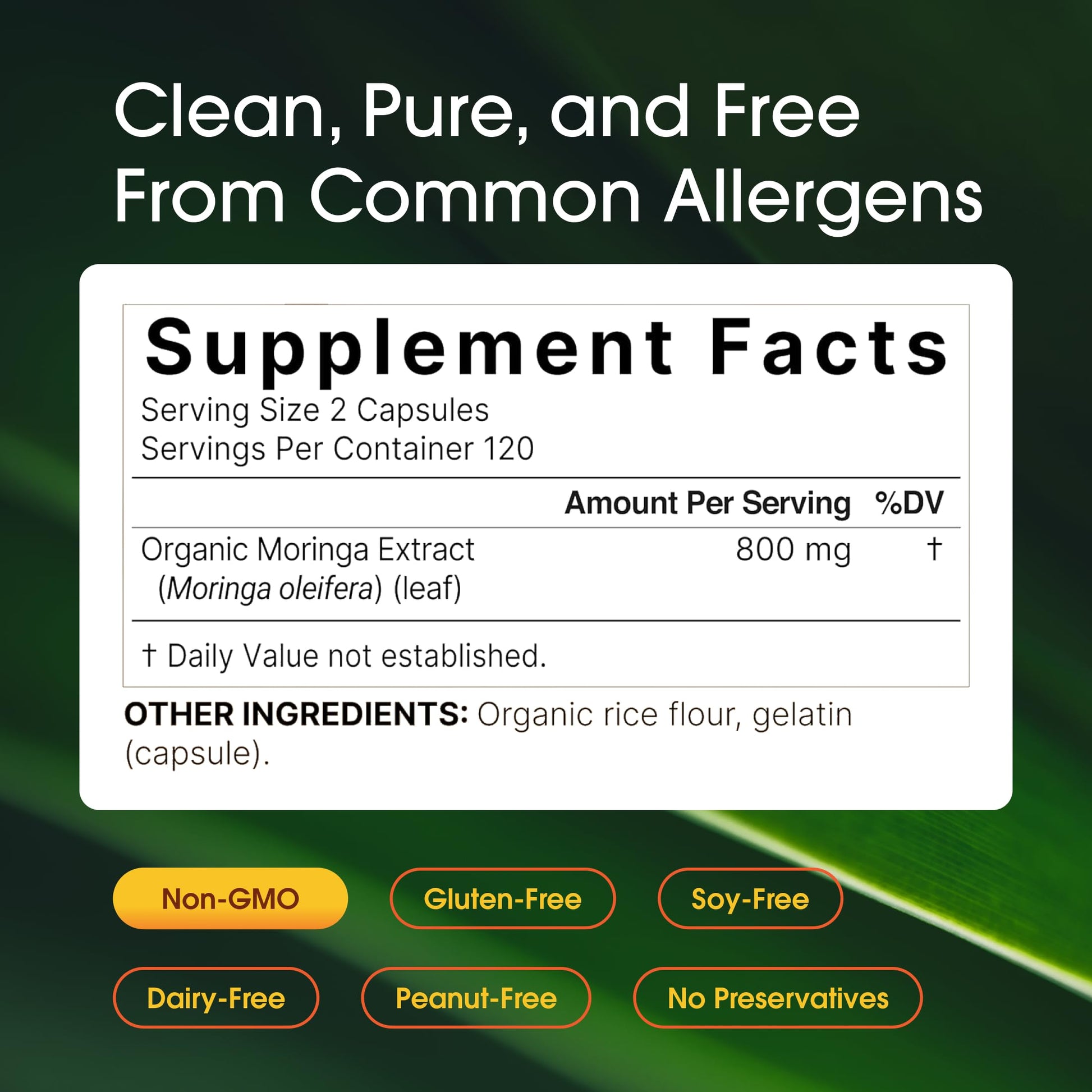 NatureBell Moringa - 240 Capsules - Organic Moringa for Immune, Energy & Skin Health Support - Green Superfood Properties NatureBell buy supplements canada