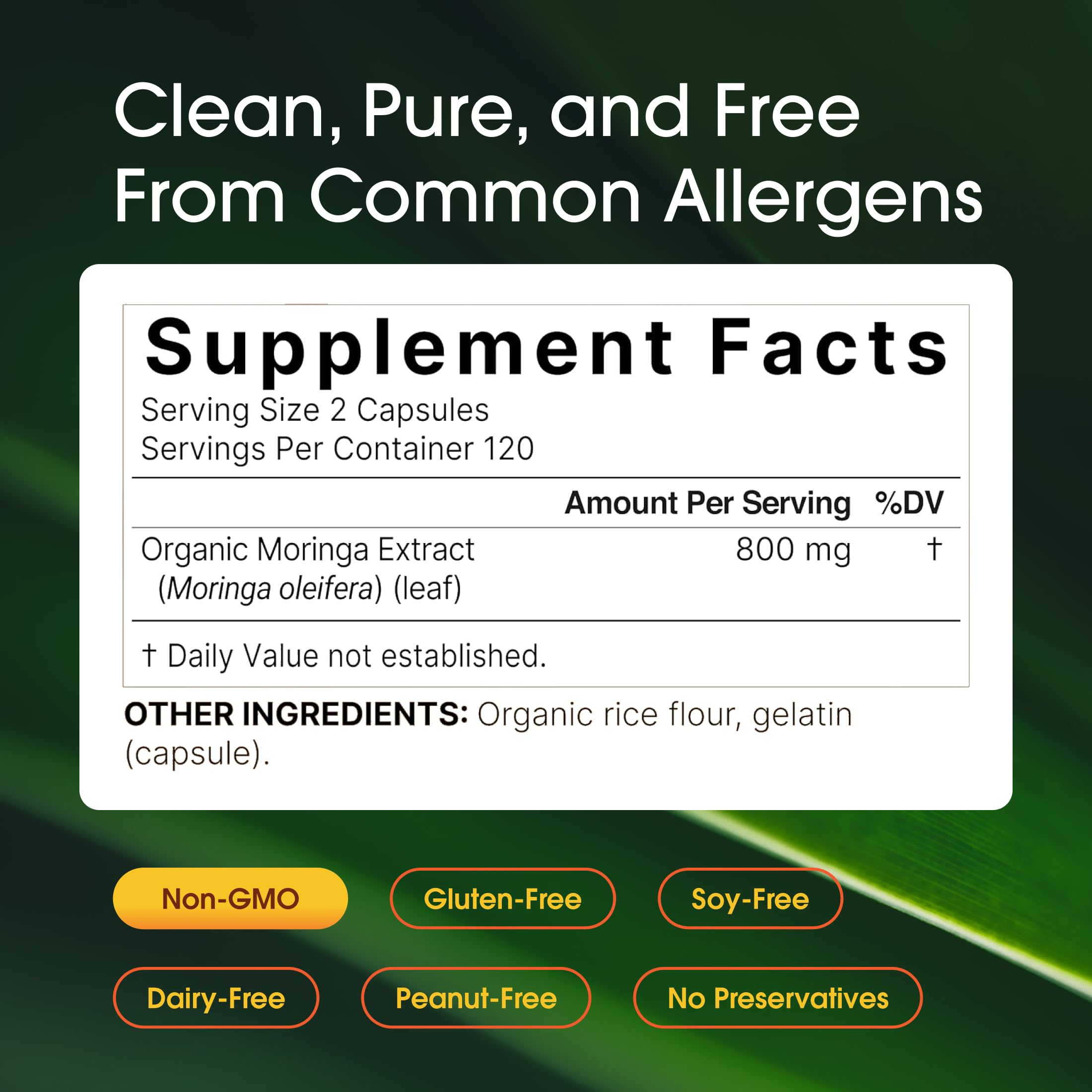 NatureBell Moringa - 240 Capsules - Organic Moringa for Immune, Energy & Skin Health Support - Green Superfood Properties NatureBell buy supplements canada