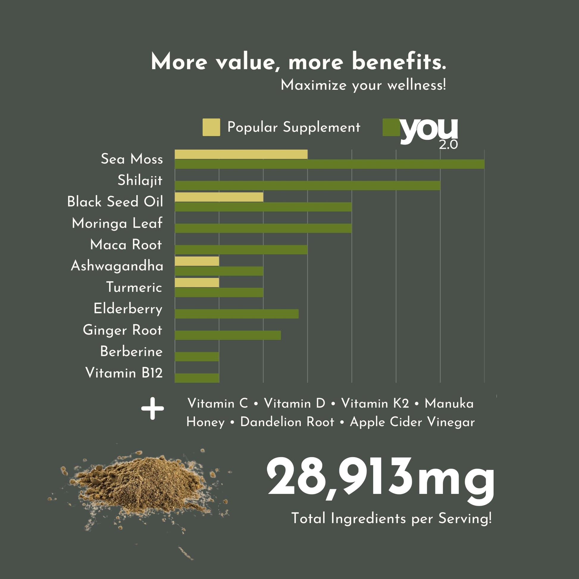 YOU 2.0 Powerhouse Superfood with Seamoss, Shilajit, Ashwagandha, Berberine, Maca, Black Seed Oil, Turmeric, Vitamin C, D, B12, K2 - Moringa, Apple Cider, Made in USA for Overall Health & Immunity YOU 2.0 buy supplements canada