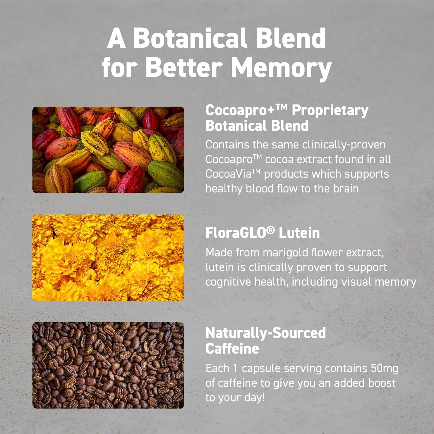 CocoaVia Memory & Focus Brain Supplement, 90 Day, Cocoa Flavanol Blend, Lutein, Added Caffeine for Boost. Improve Cognitive Function, Attention, Vegan & Plant Based, 90 Capsules CocoaVia buy supplements canada