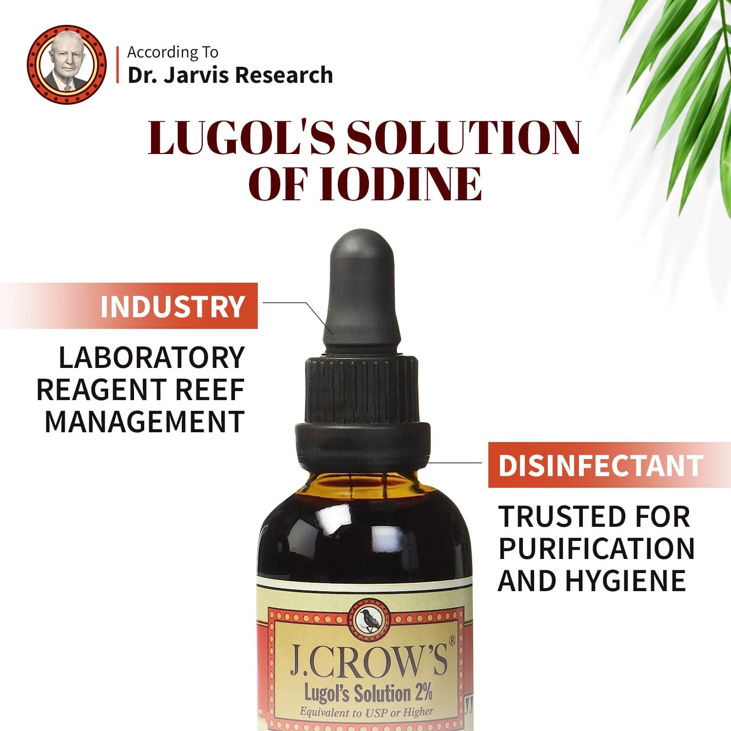 J.CROW'S® Lugol's Solution of Iodine 2% 2 oz (1 Bottle) – Premium Iodine & Potassium Iodide Liquid, Gluten J. CROW'S buy supplements canada