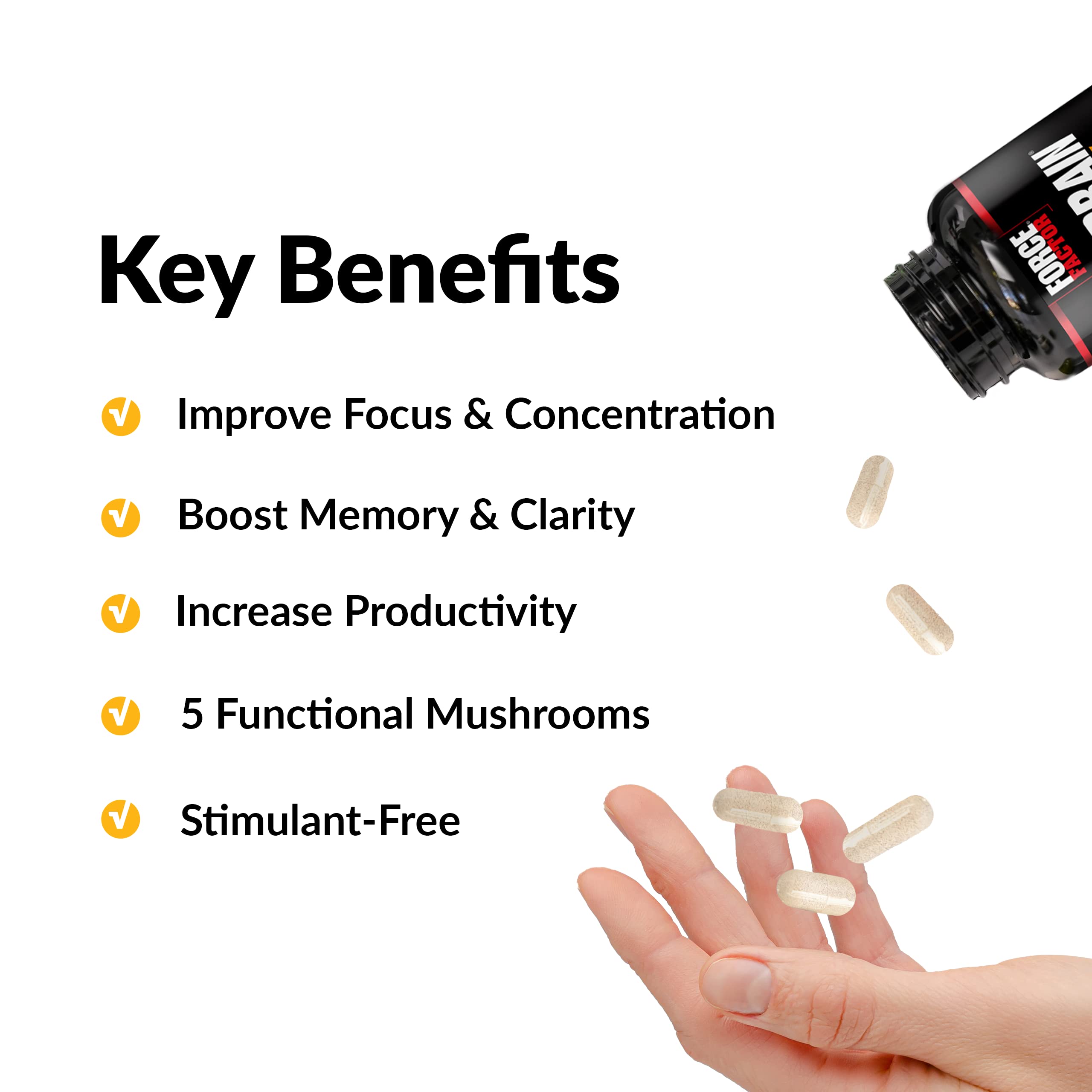 Forebrain Focus Brain Booster, Brain Supplement to Boost Clarity & Concentration, Improve Memory & Sharpness & Productivity, Nootropic Brain Support Supplement, Force Factor, 120 Capsules, Black Force Factor buy supplements canada