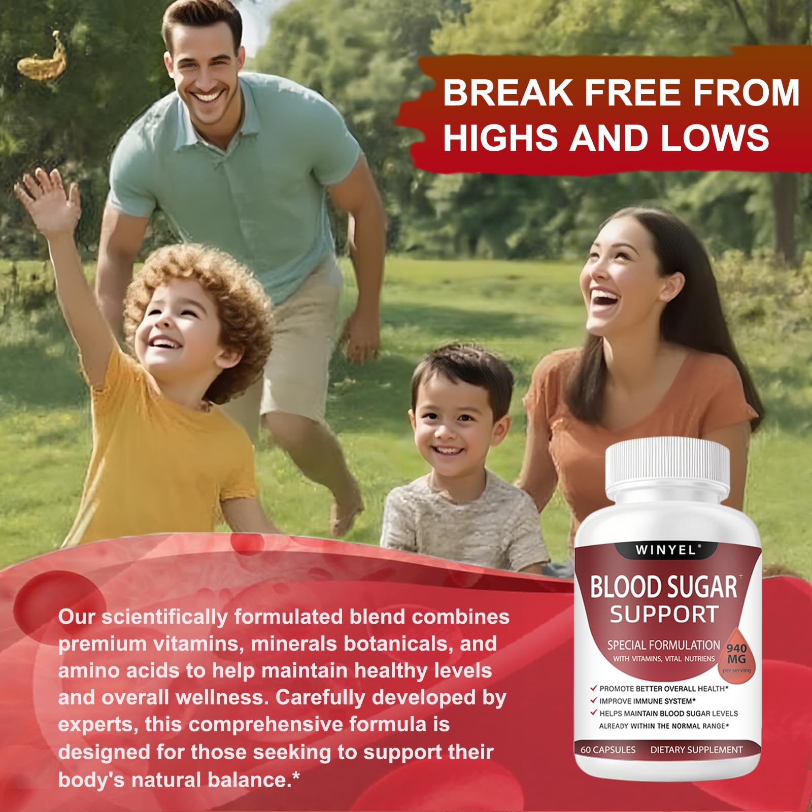 WINYEL Blood Sugar Complex Supplement - with Cinnamon, Bitter Melon, Chromium, Mulberry, Alpha Lipoic Acid, 60 Capsules WINYEL buy supplements canada