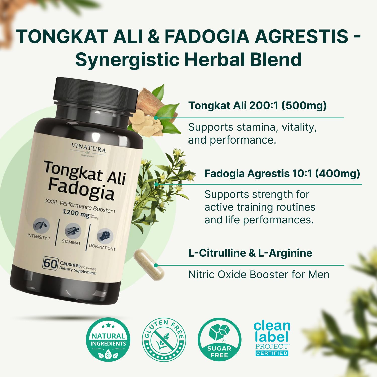 Tongkat Ali Fadogia Agrestis - 1200mg, Enhanced with Nitric Oxide Booster Supplement, Longjack Tongkat Ali for Men, VINATURA buy supplements canada
