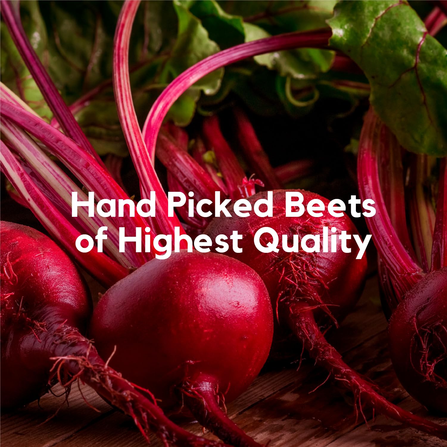 Better Alt Beet Root Powder - 16oz, 100% Natural Nitric Oxide Booster and Pure Himalayan Better Alt buy supplements canada