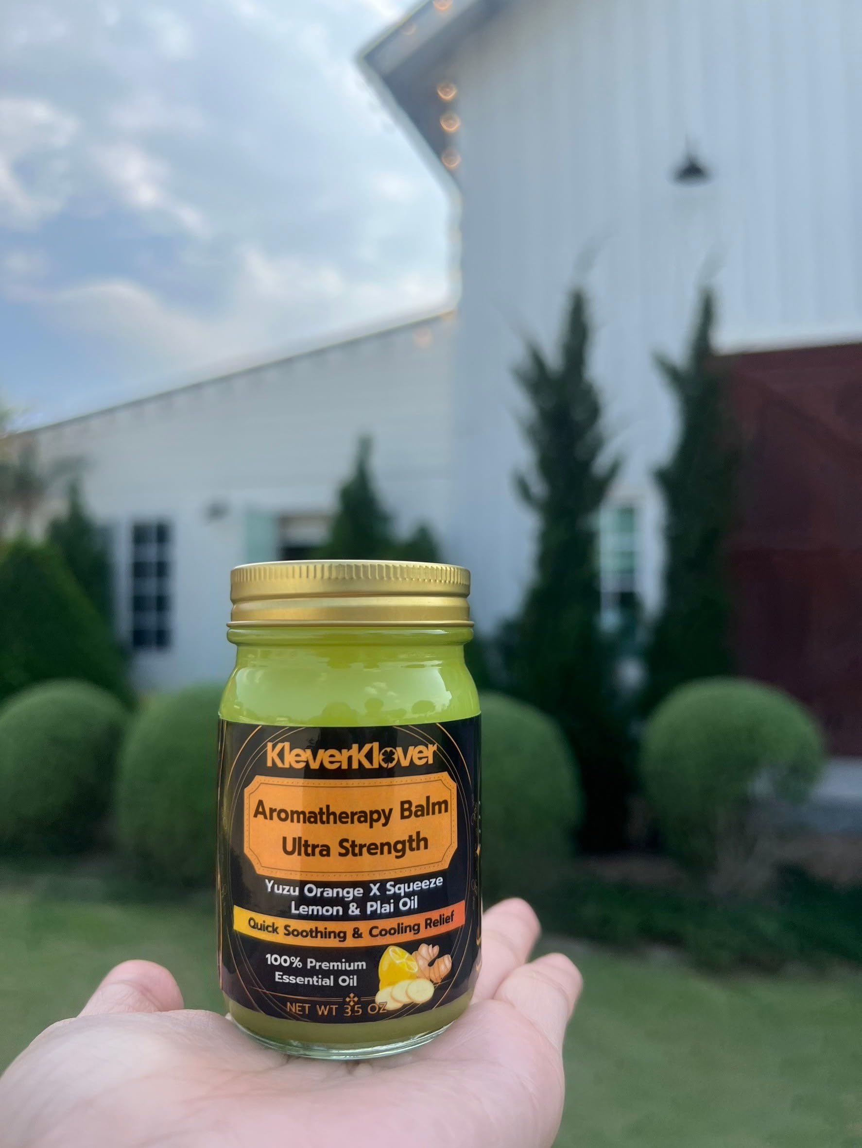 KleverKlover Back and Neck Aromatherapy Balm Ultra Strength for Healing Sore Muscle & Joint After Workout or Yoga - Plai Oil - Preservative Free- Citrus Scent + Free Massage Reflexology Wooden Stick KleverKlover buy supplements canada
