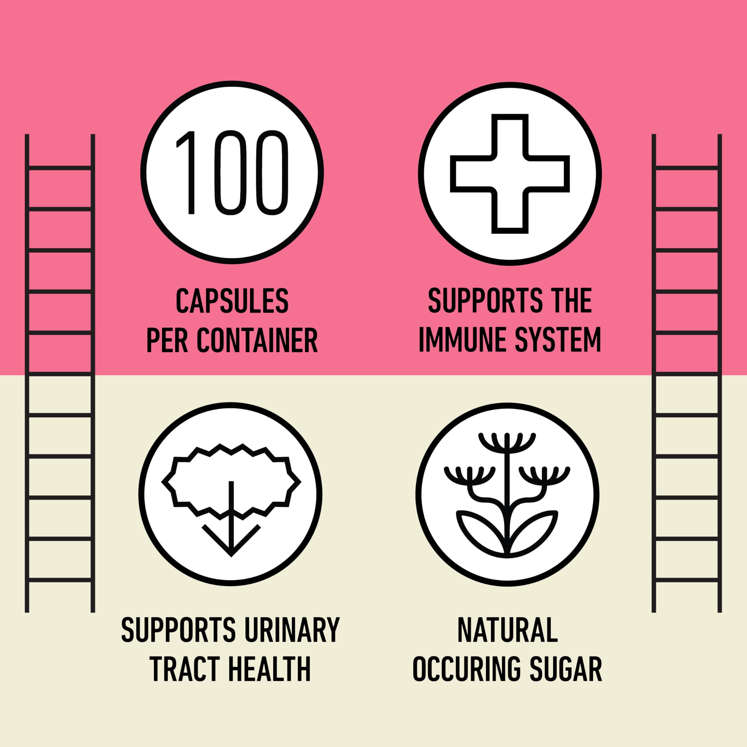 D Mannose 520mg Capsules - Organic D Mannose Supplement for UTI Support, Urinary Tract Bladder Health Pills, Plant Based Formula, Vegan Non GMO, No Fillers, 100 Capsule Count Made USA Certified Kosher Complete Natural Products buy supplements canada