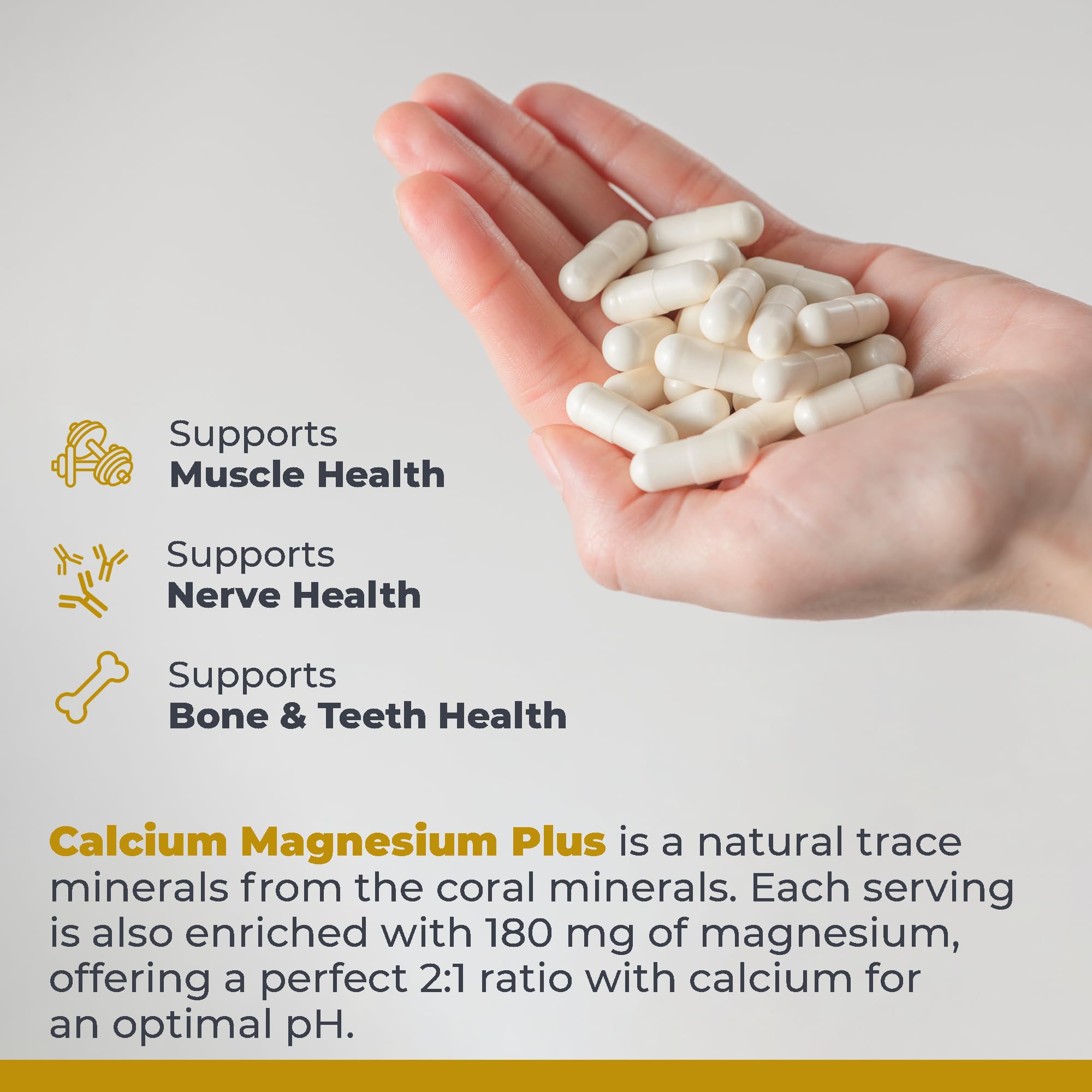 Premier Research Labs Calcium Magnesium Plus - Calcium Magnesium Supplement, Calcium Supplement for Bone Health, with Mushroom Complex - Reishi & Lions Mane - 90 Vegetarian Capsules Premier Research Labs buy supplements canada