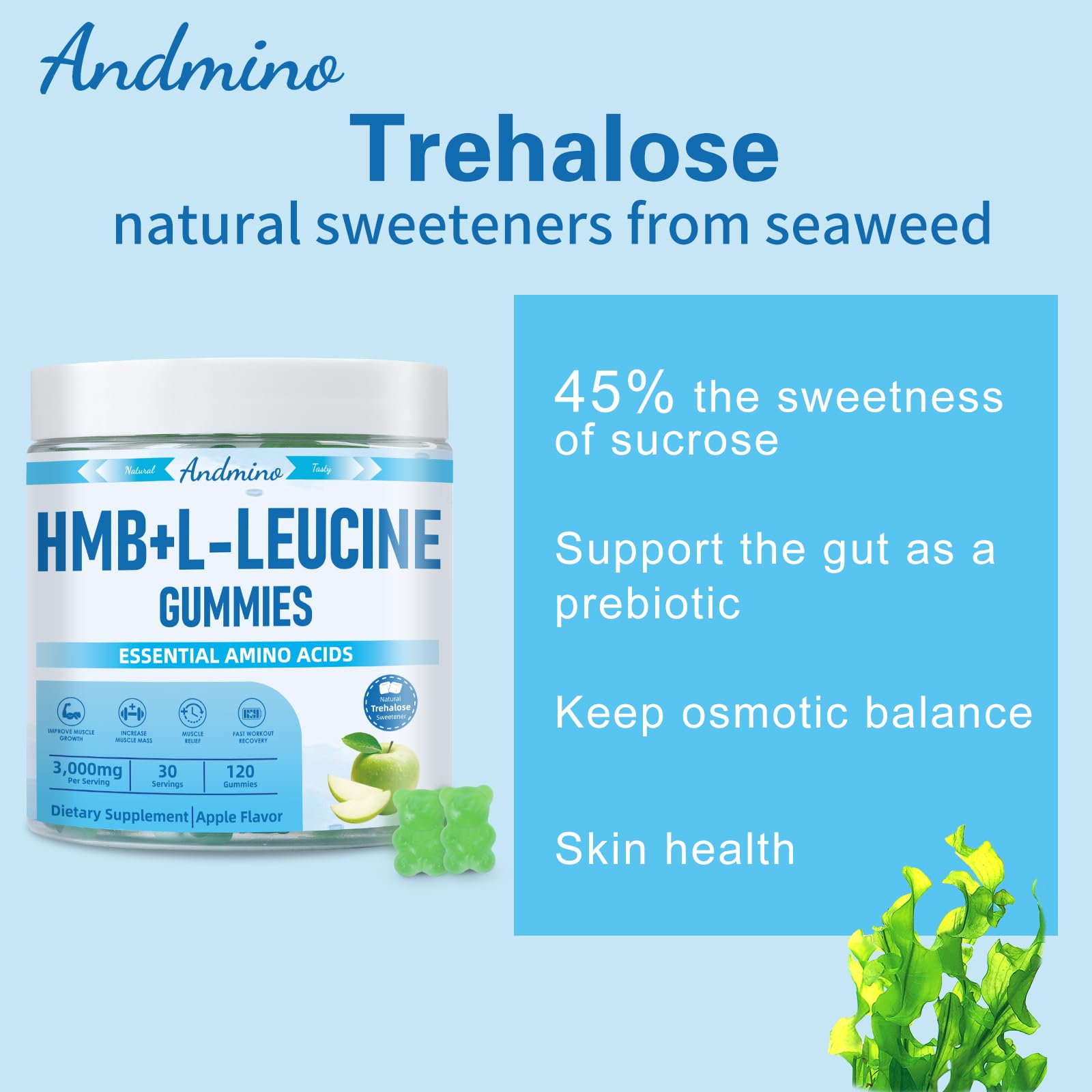 andmino HMB and L-Leucine Gummies, 3000mg, with Trehalose, for Muscle Growth, Muscle Relief and Workout Recovery, for Adults & Elder, Non-GMO andmino buy supplements canada