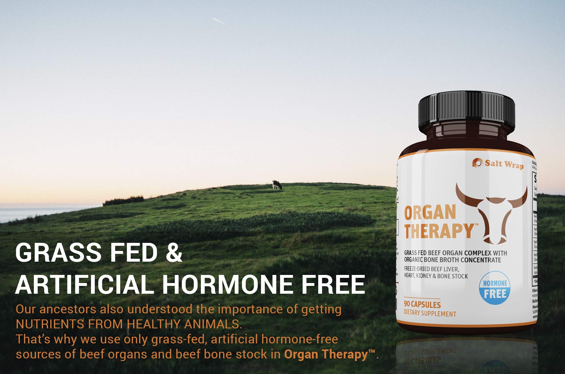 SaltWrap Organ Therapy - Grass Fed Beef Organ Meat Complex Supplement with Organic SaltWrap buy supplements canada