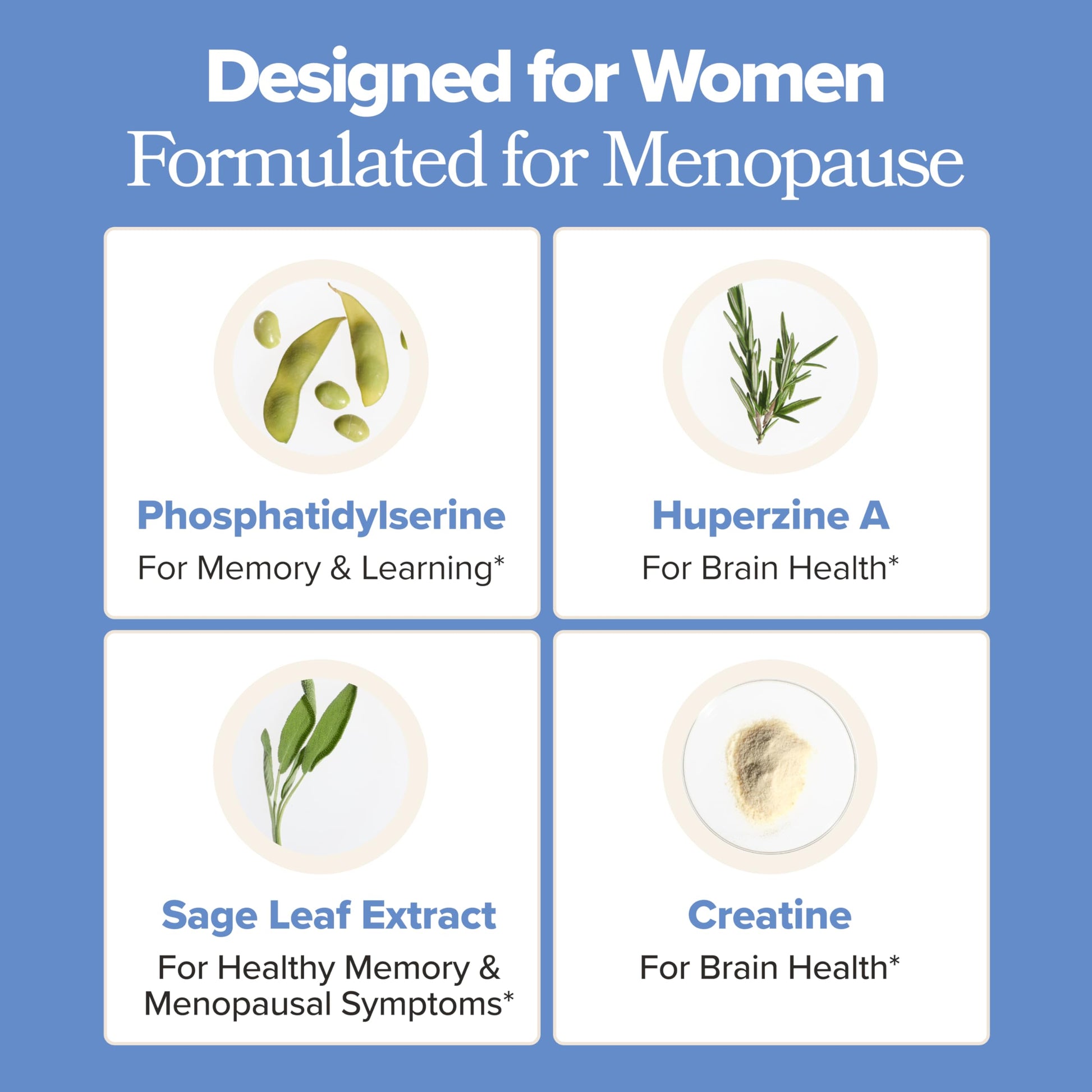 MENO Brain Health + Memory Support Capsules – Daily Support for Cognitive Performance, Concentration & Healthy Brain Aging – with Phosphatidylserine, Creatine, Sage Leaf & Huperzine A – 30 Servings O Positiv buy supplements canada