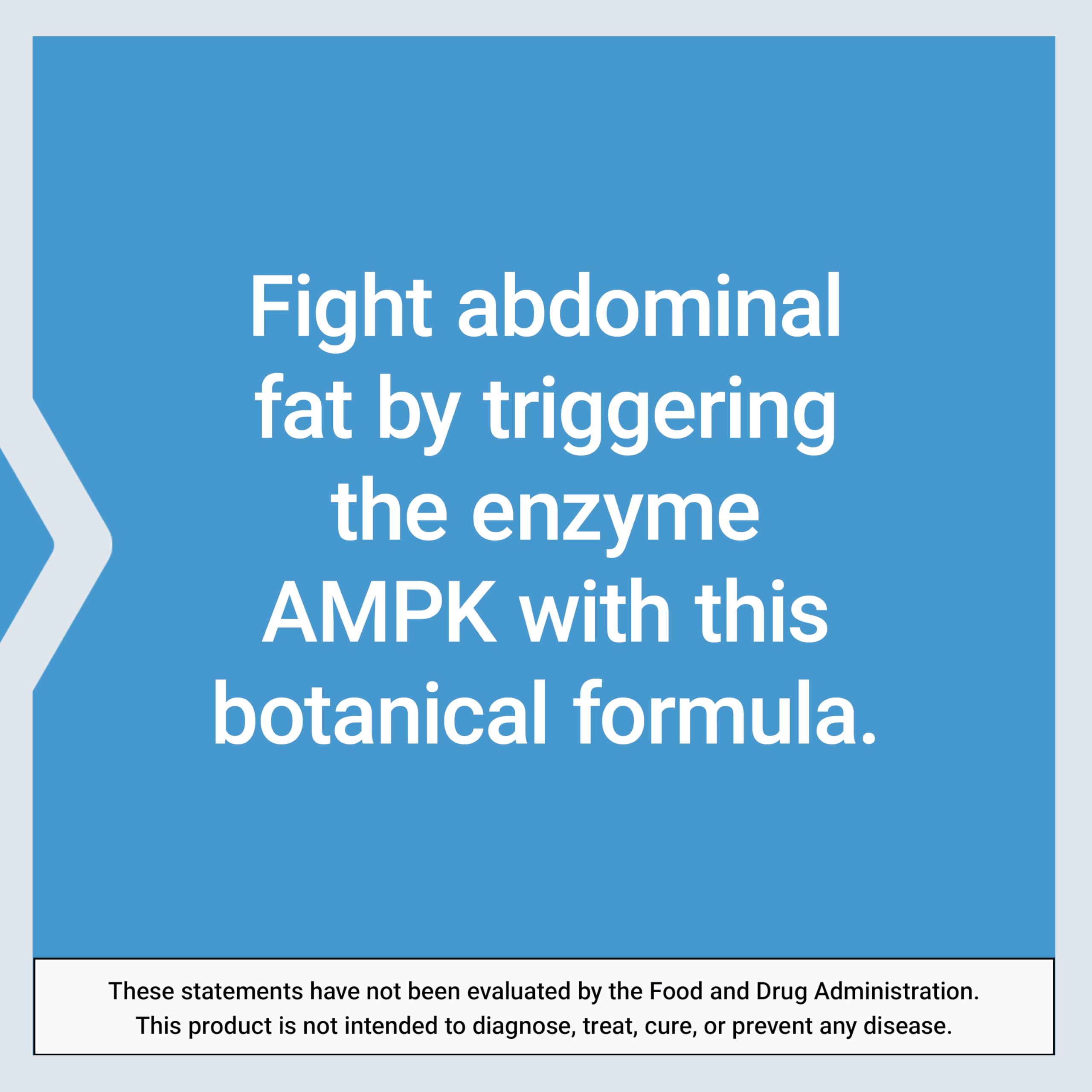 Life Extension AMPK Metabolic Activator*, Hesperidin, G. pentaphyllum, Fight unwanted Belly Fat, Target Overall Fat, Gluten-Free, Vegetarian, 1-Daily, Non-GMO, 30 Tablets Life Extension buy supplements canada