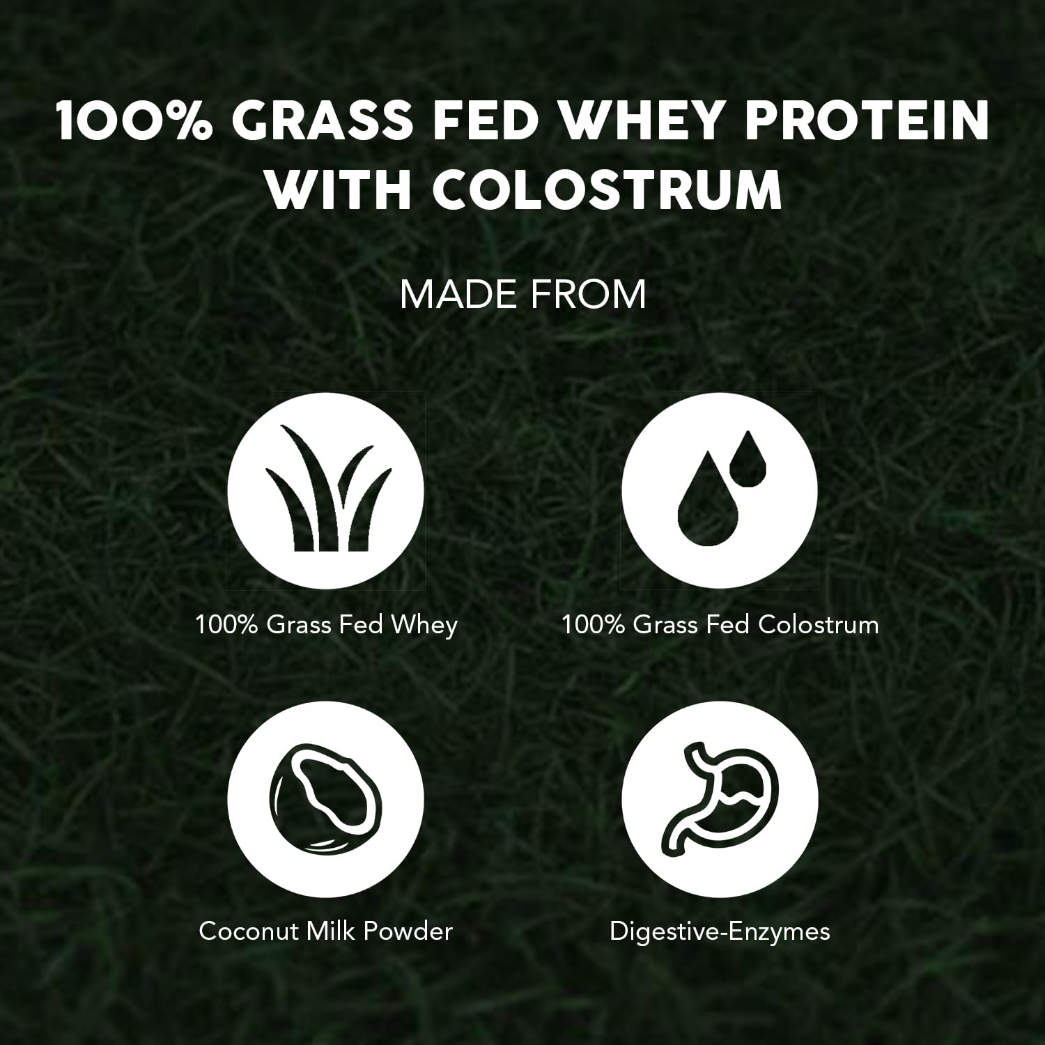Paleovalley 100% Grassfed Whey Protein Powder with Colostrum, 30 Serving - Vanilla, 13g Protein, Muscle Building, Immune Support, Gut Health Paleovalley buy supplements canada