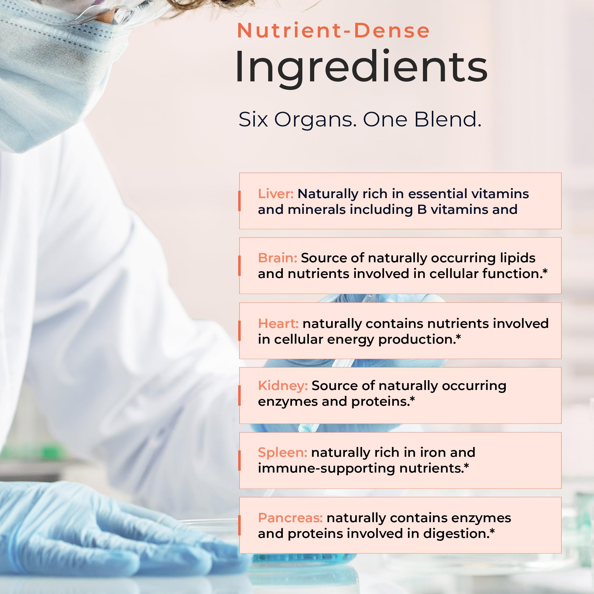 Molecular Fertility Beef Organ Complex - Pasture-Raised, Grass Fed Beef Liver, Brain, Heart, Spleen, Pancreas Blend, Healthy Hormone Balance and Fertility Supplement for Women and Men, 180 Capsules Molecular Fertility buy supplements canada
