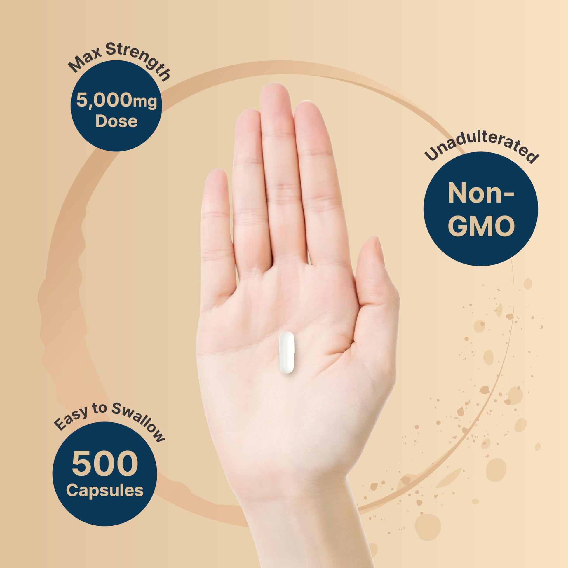 NatureBell Creatine Monohydrate Capsules 5,000mg Per Serving, 500 Count | Micronized, Unflavored Creatine Pills | Pre-Workout & Muscle Strength Support NatureBell buy supplements canada