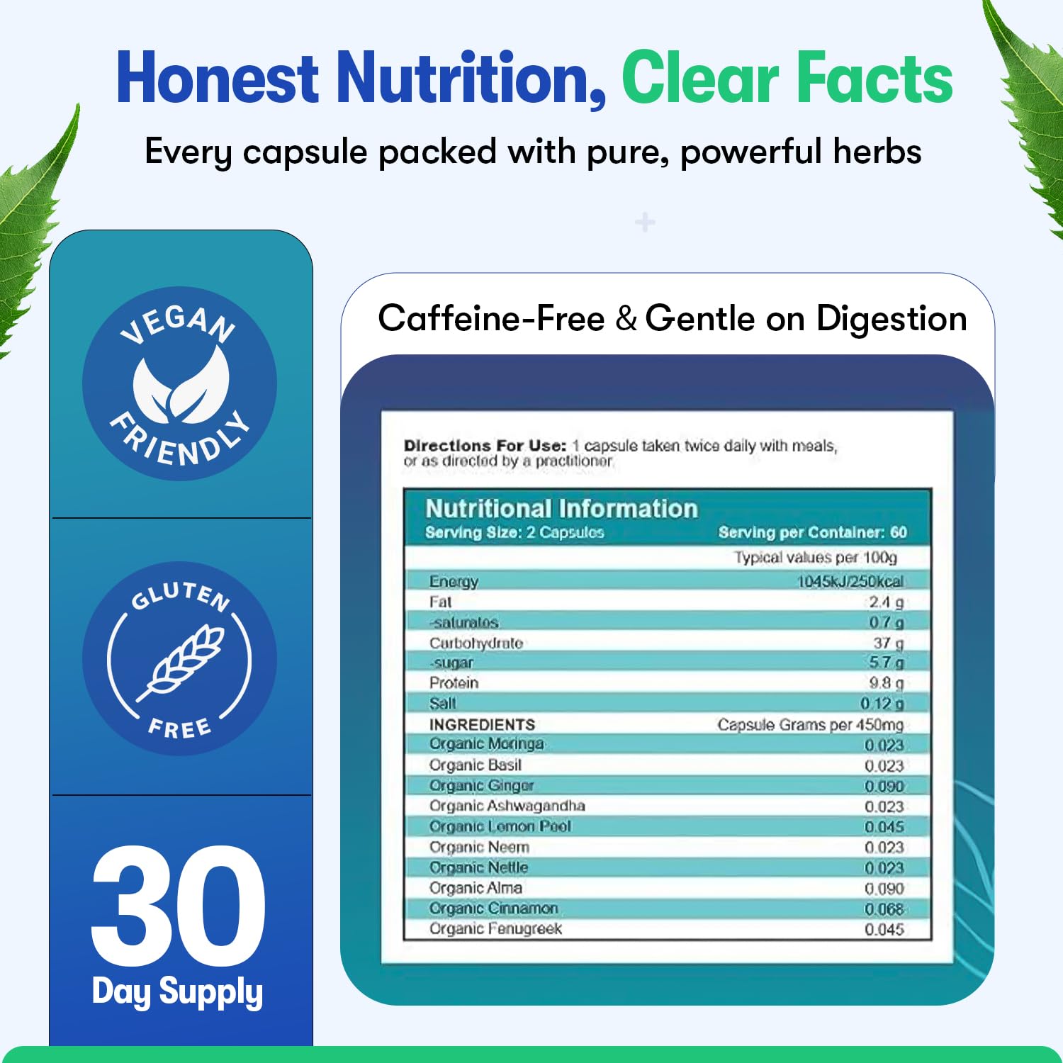 Zyzven Naturals Blood Sugar Support Supplement – 60 Vegan Capsules | Herbal Supplement with Moringa, Cinnamon, Ginger, Neem & Fenugreek | Plant-Based Wellness Supplement - Serving: 2 Capsules/Day Zyzven Naturals buy supplements canada