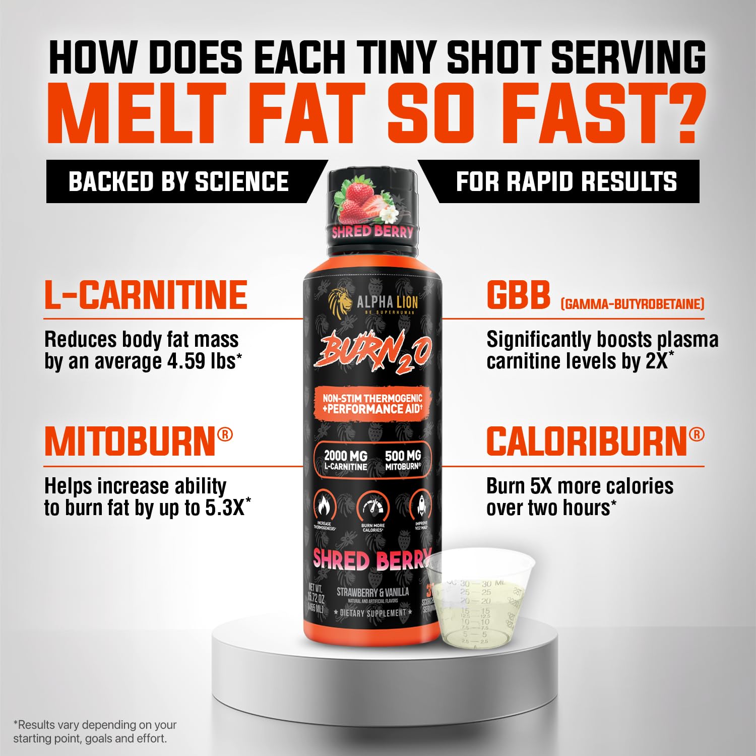 ALPHA LION Burn2O L-Carnitine Liquid 2000mg, Premium Liquid Fat Burner & Pre-Workout Supplement for Men & Women - Natural Energy & Metabolism Booster ALPHA LION buy supplements canada