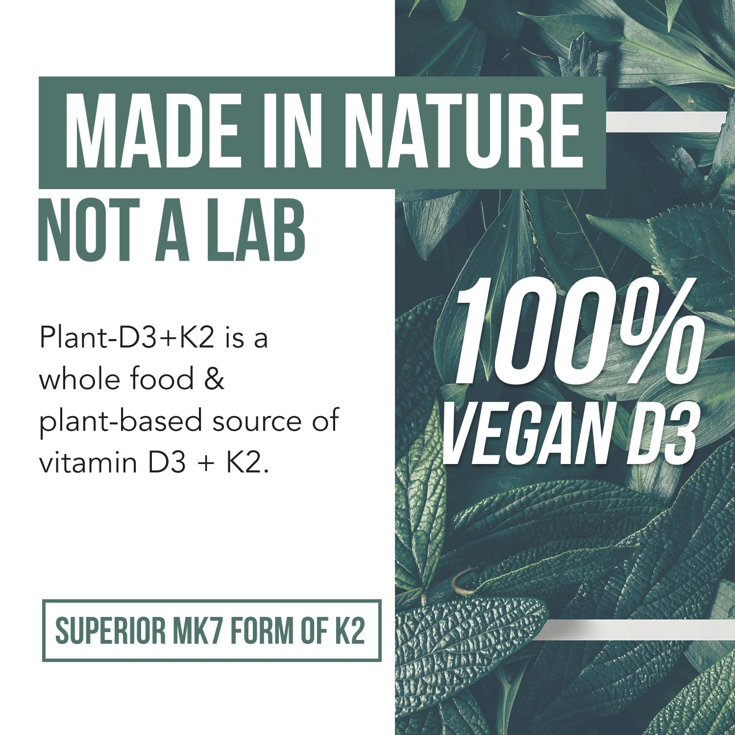 Organic Plant D3 + K2 | 5000 iu D3 + 120 mcg K2 as All-Trans MK7 from MenaQ7® - 100% Whole Food, Raw & Vegan | Enhanced Digestion with Prebiotic Triquetra Health buy supplements canada