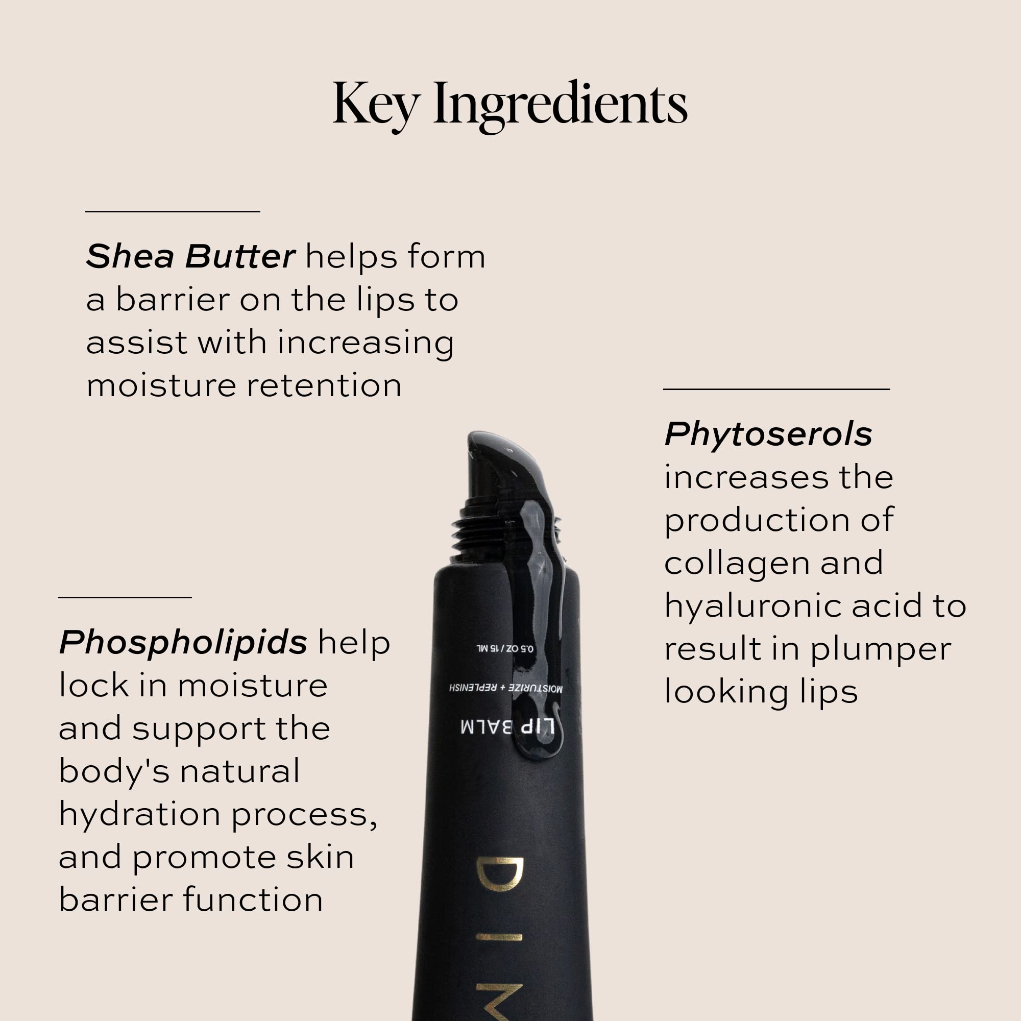 DIME Beauty Lip Balm, Hydrating Lip Balm and Gloss, Vegan & Cruelty-Free, Anti-Aging Lip Care, .5 oz / 15 ml DIME buy supplements canada