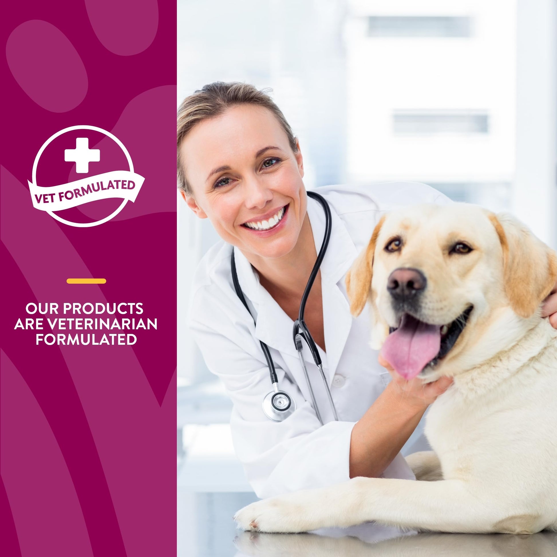 NaturVet – Glucosamine DS Plus - Level 2 Moderate Care – Supports Healthy Hip & Joint Function – Enhanced with Glucosamine, MSM & Chondroitin – for Dogs & Cats – 240 Soft Chews NaturVet buy supplements canada