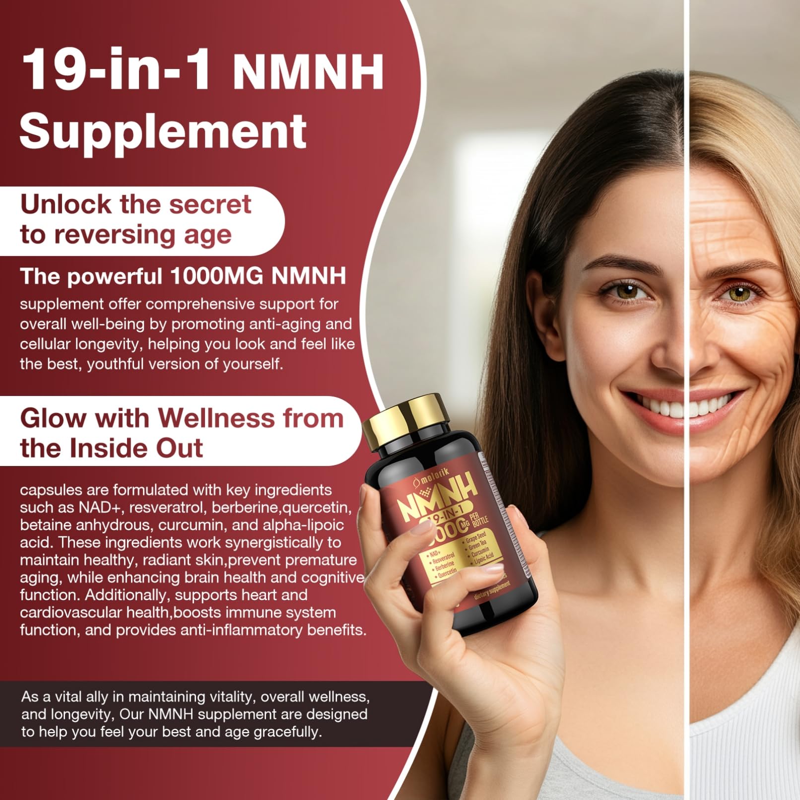 19 in 1 NMNH (Dihydronicotinamide Mononucleotide) 1000mg Per Serving, Nad Supplement Boost NAD+ Levels Nad Resveratrol Supplement with Quercetin, Vitamin D3 K2, Healthy Aging, Energy, 90 Capsules molorik pure buy supplements canada