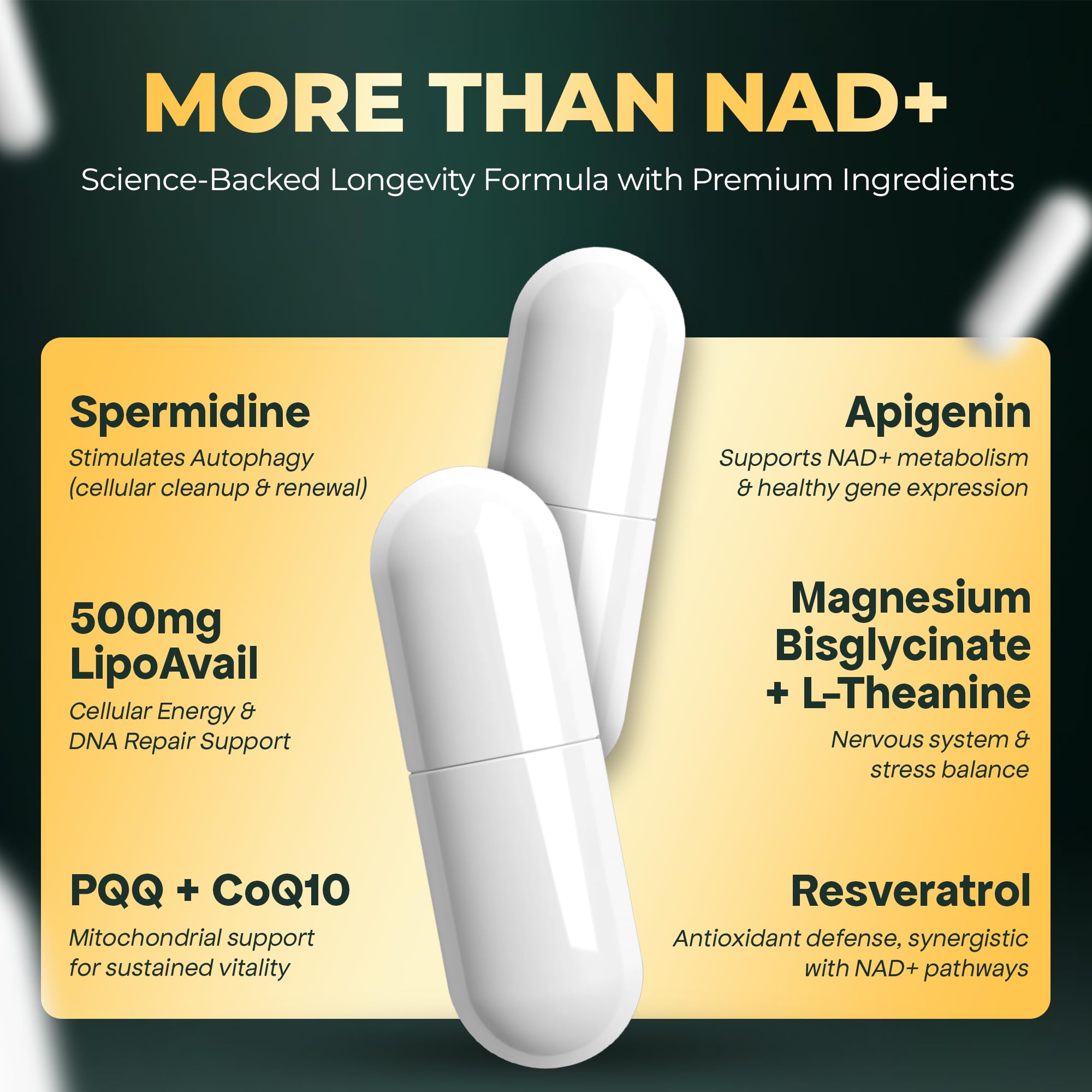 UPLIFE NAD+ Supplement 1,372mg – Liposomal NAD+ with CoQ10, Resveratrol, Spermidine, L-Theanine, Apigenin & PQQ – NMNH Alternative Booster Cellular Energy, Healthy Aging, Immune Health – 120 Capsules UPLIFE buy supplements canada