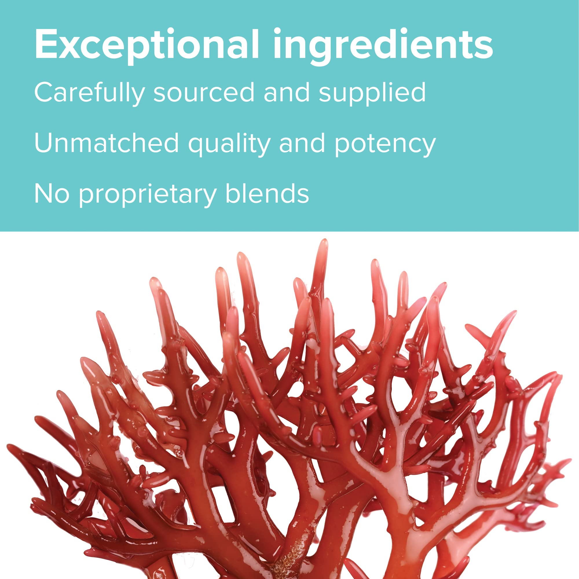 Vibrant Health, Gigartina Red Marine Algae, Plant-Based Immune Support, 60 Capsules Vibrant Health buy supplements canada